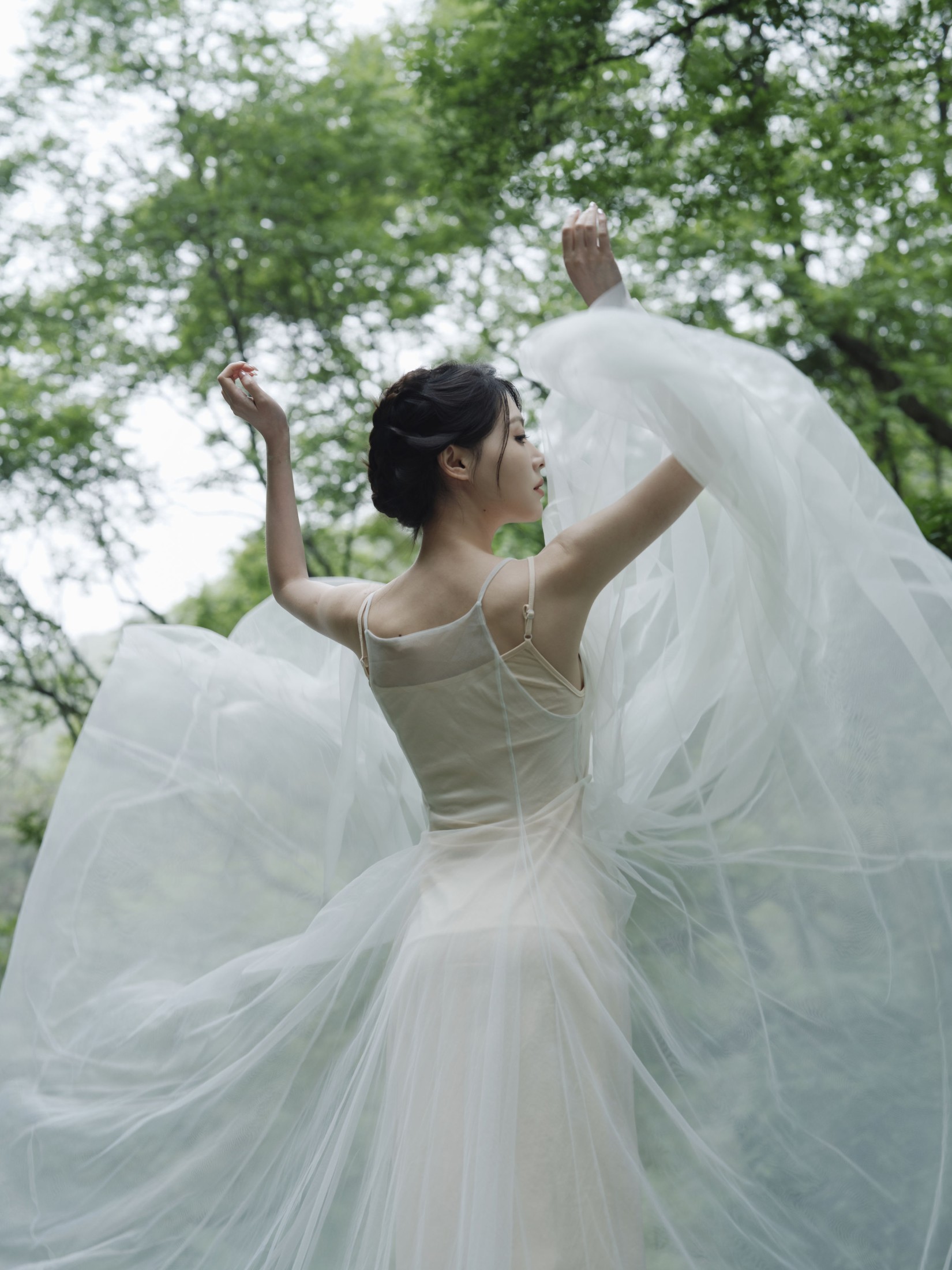 ID10555破茧 - 妍画集-妍画集