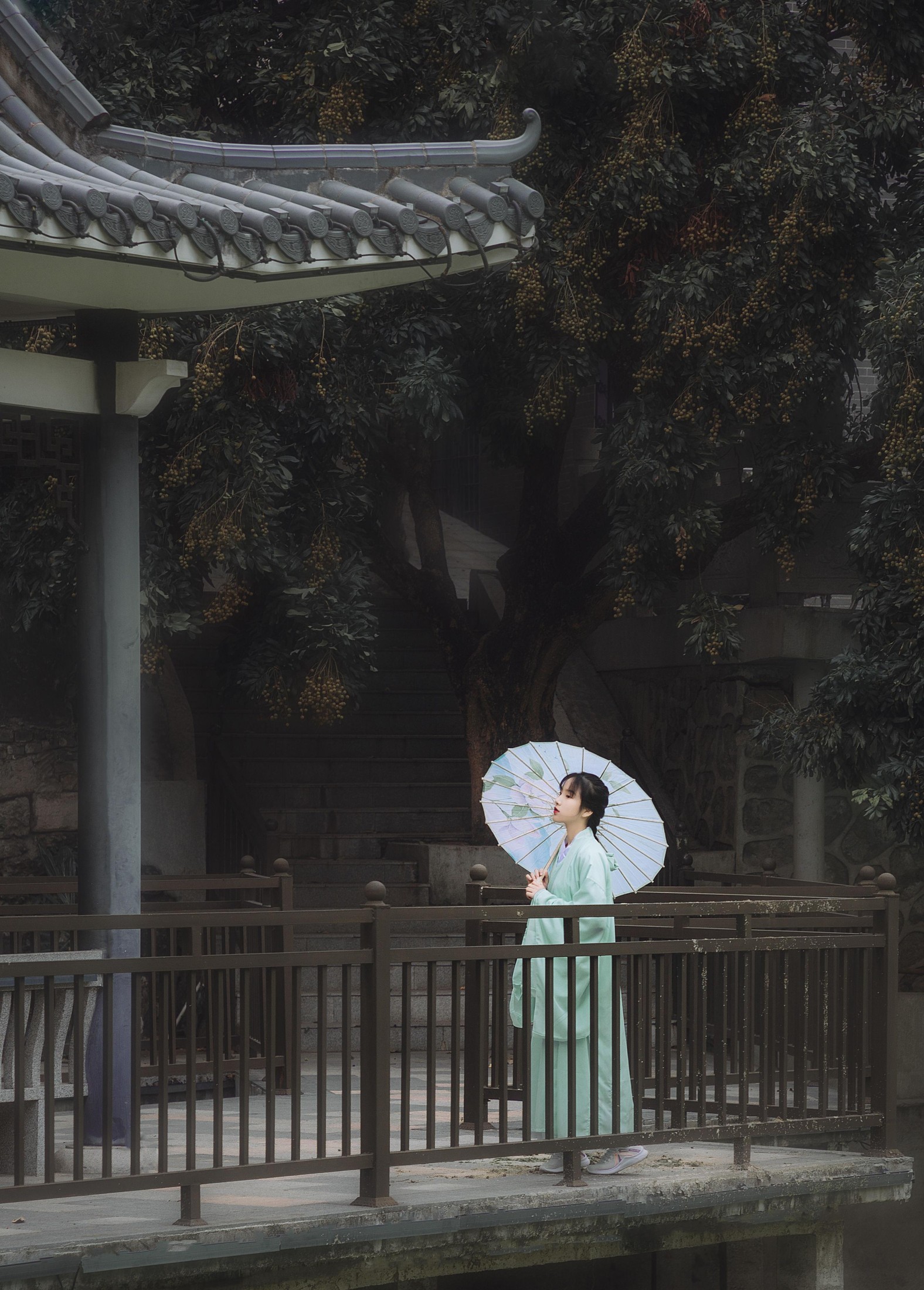 ID10442青衫故人 - 妍画集-妍画集