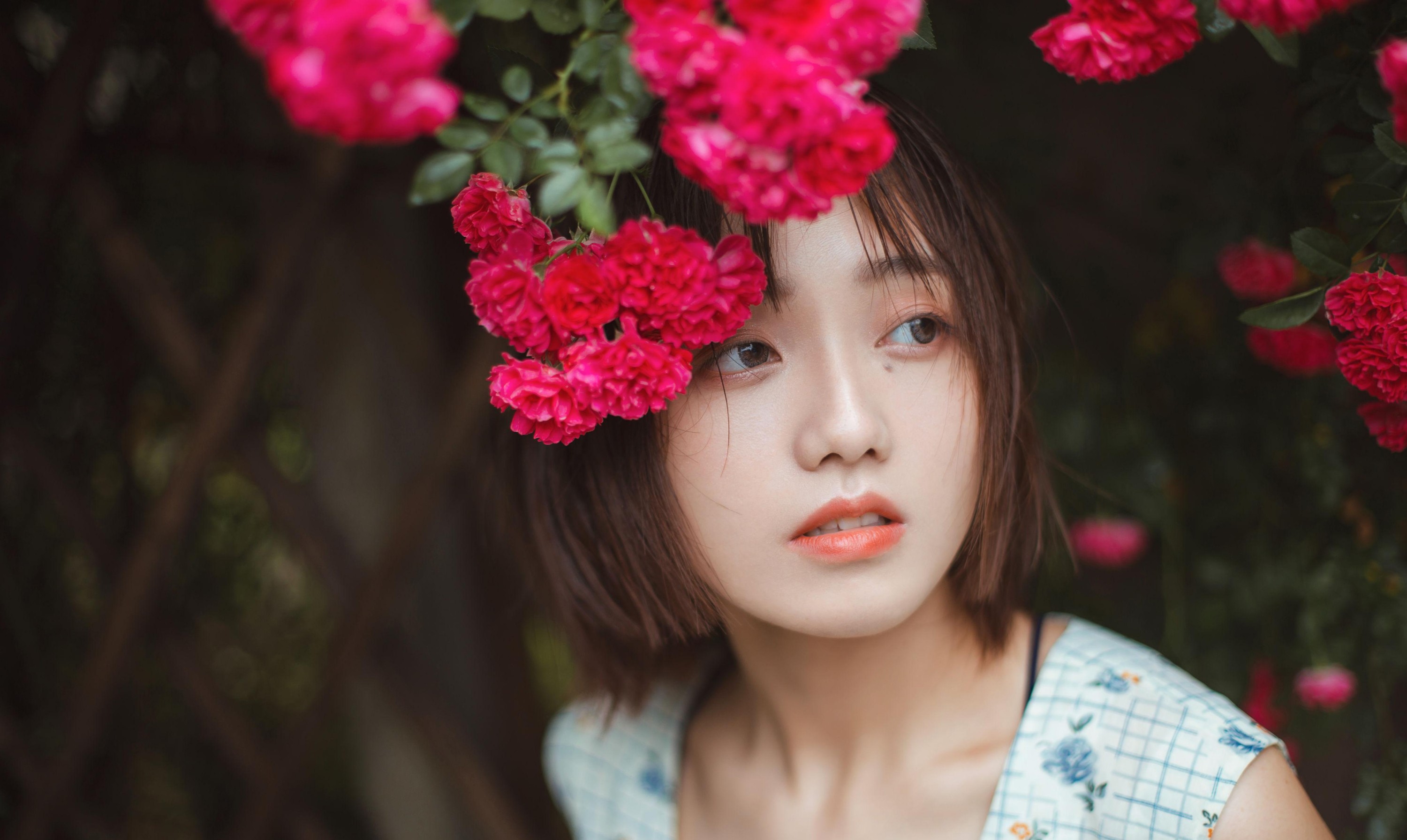 ID10388青雉 - 妍画集-妍画集