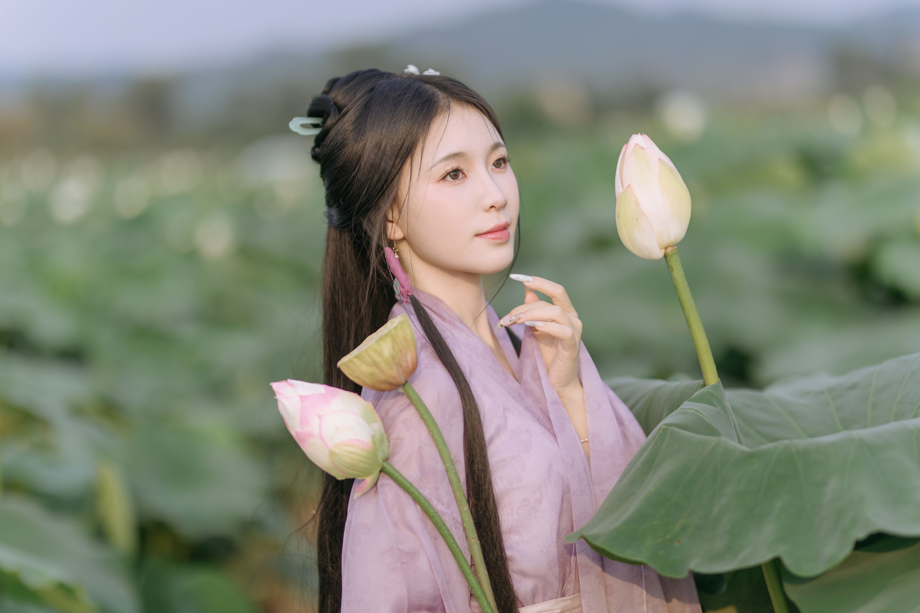 ID9810荷叶连田田 - 妍画集-妍画集