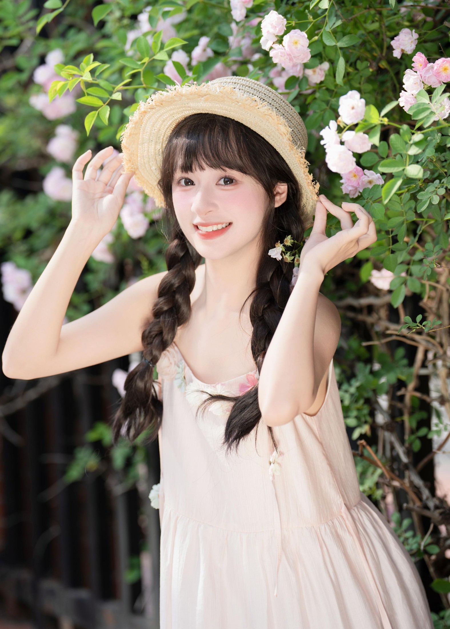 ID10550粉色蔷薇 - 妍画集-妍画集