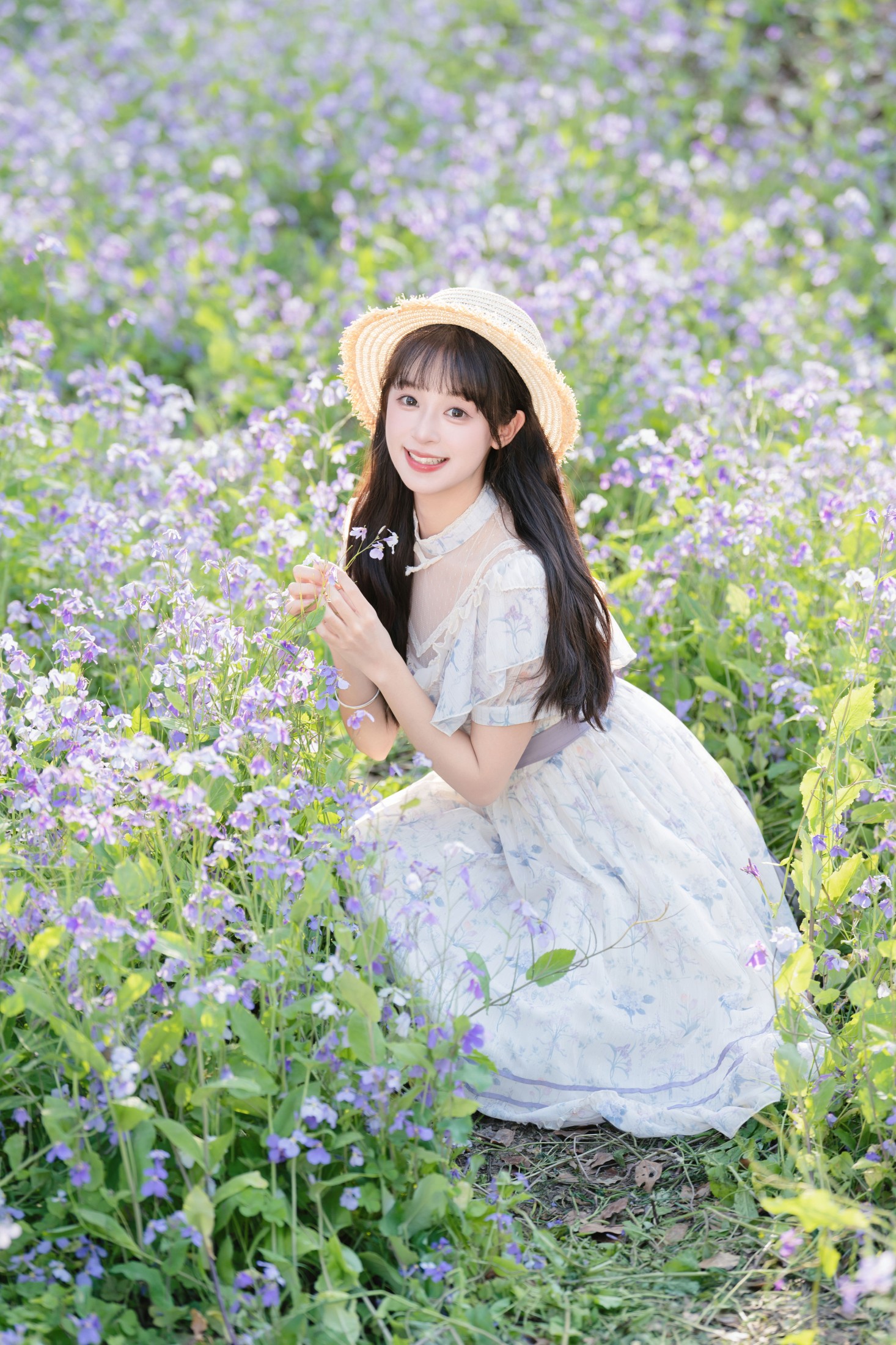 ID10551二月兰花海 - 妍画集-妍画集