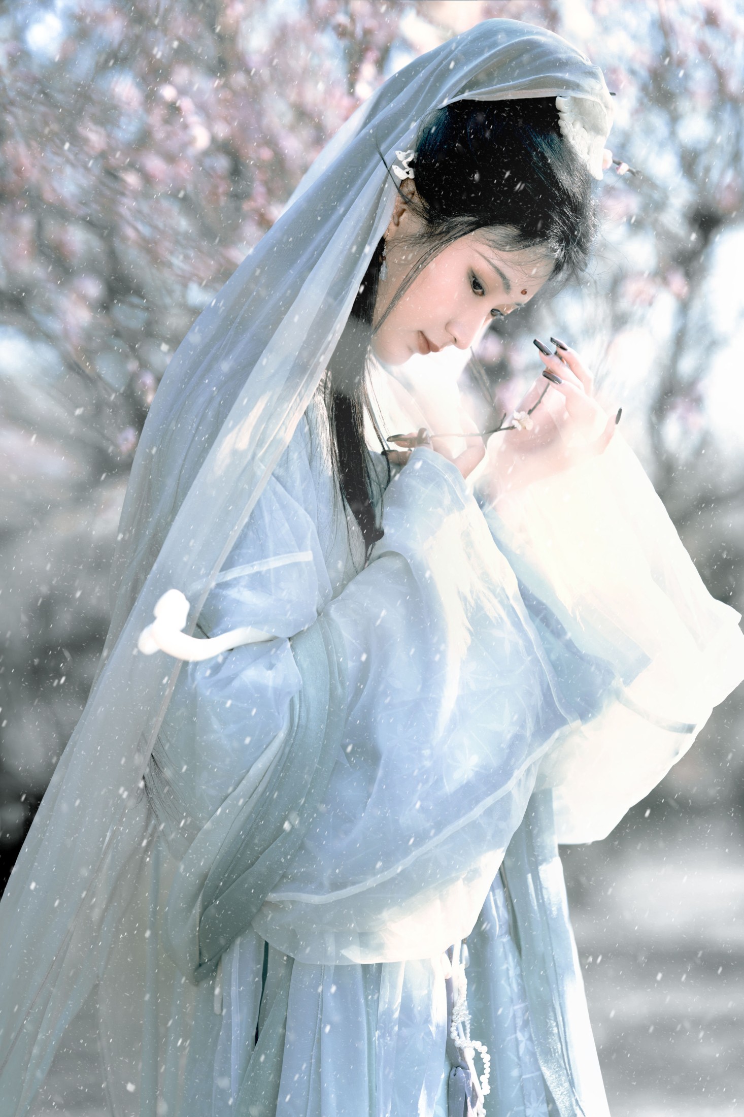ID10634琉璃世界，白雪红梅 - 妍画集-妍画集