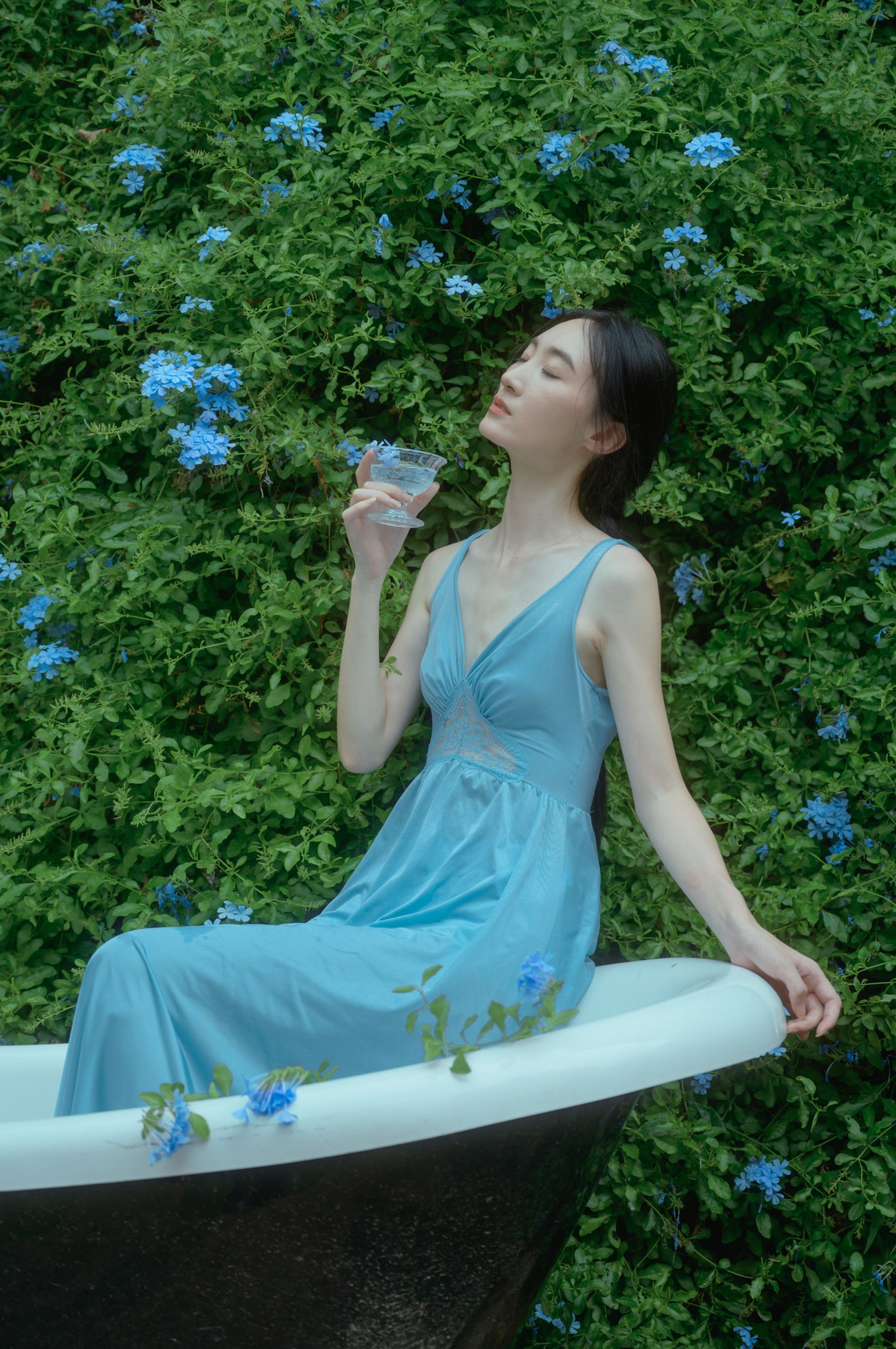 ID10152夏天与蓝雪花 - 妍画集-妍画集