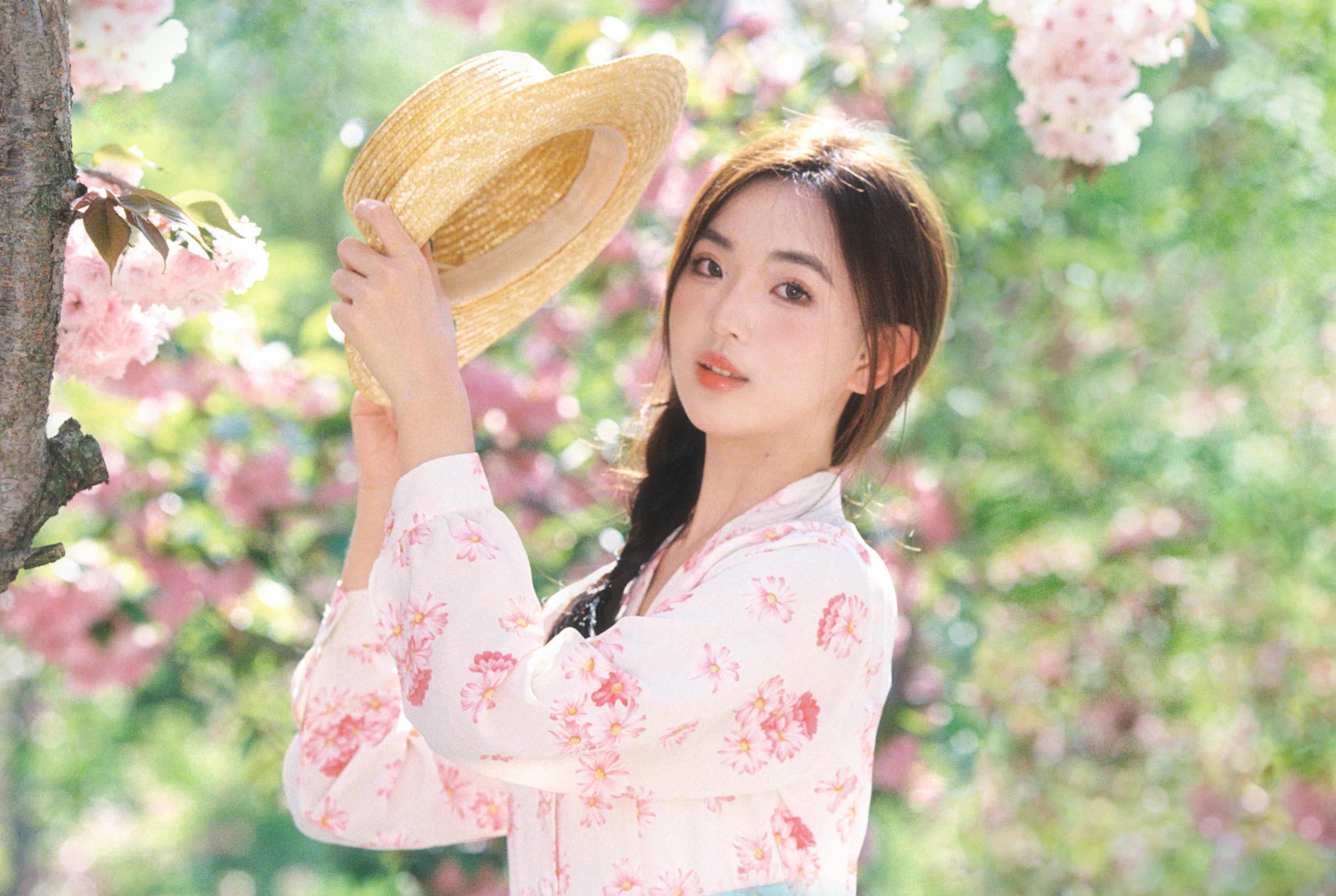 ID10624我是我的春天 - 妍画集-妍画集
