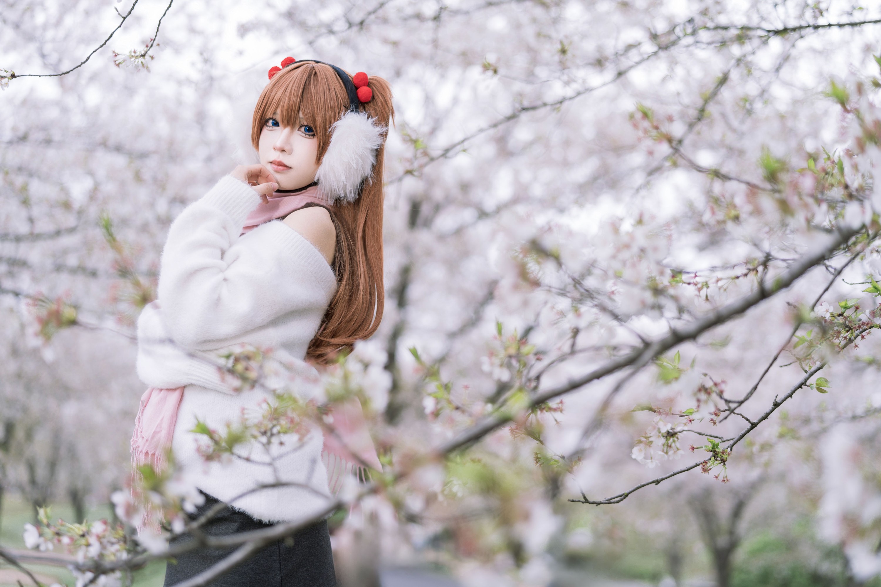 ID10636静怡樱花林 - 妍画集-妍画集
