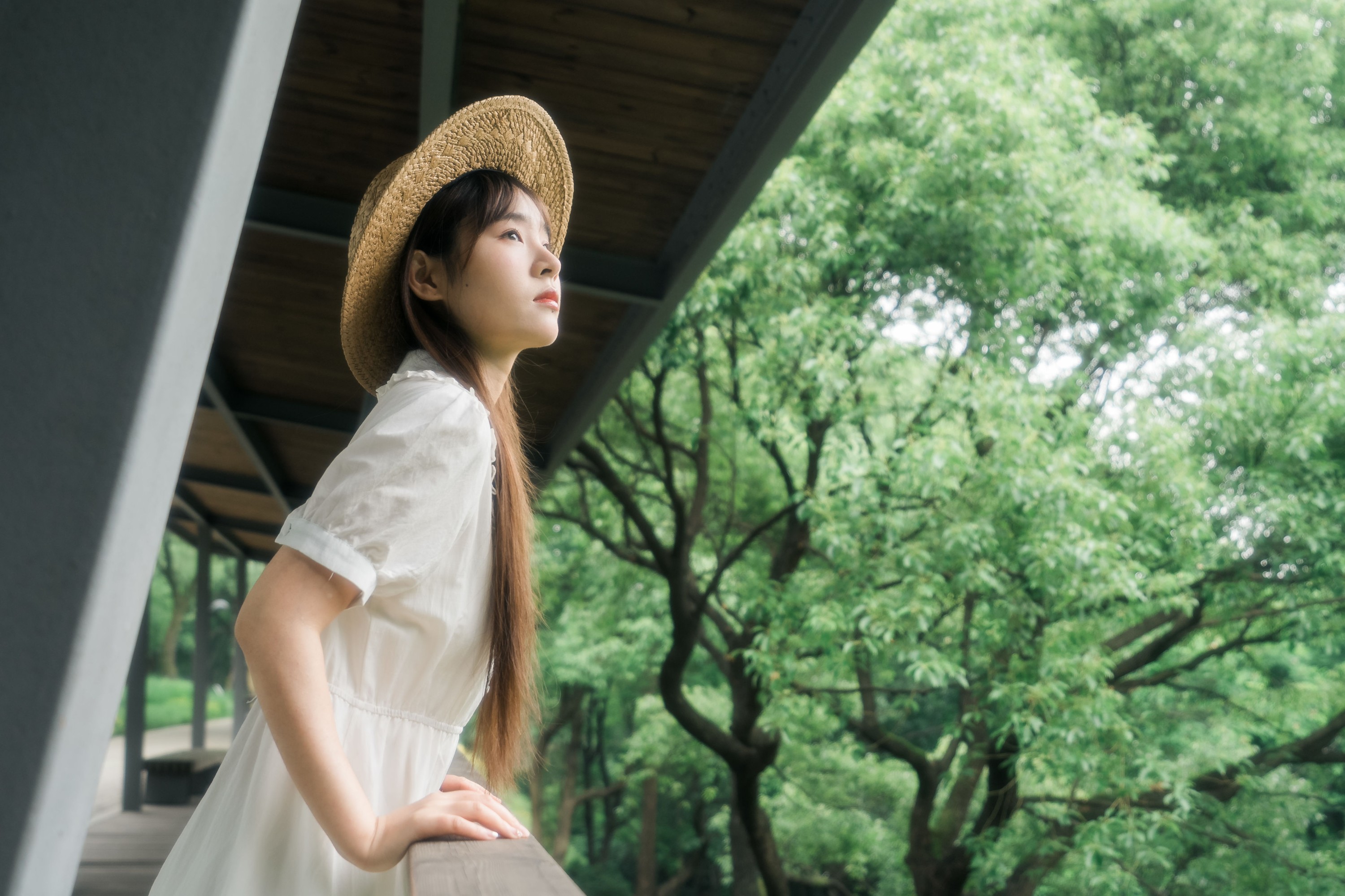 ID10657快乐就像蝴蝶一样短暂停留 - 妍画集-妍画集