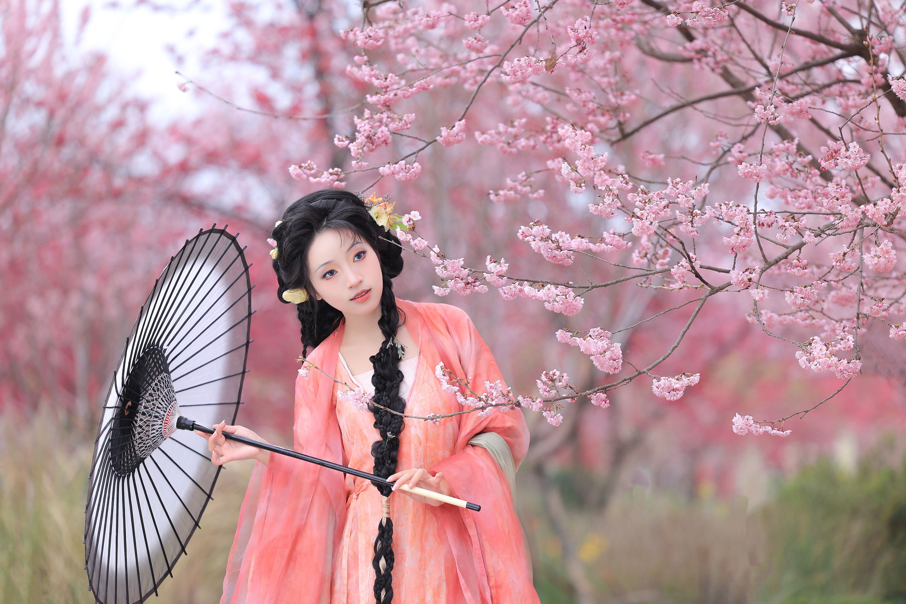 ID10667繁花似锦 - 妍画集-妍画集