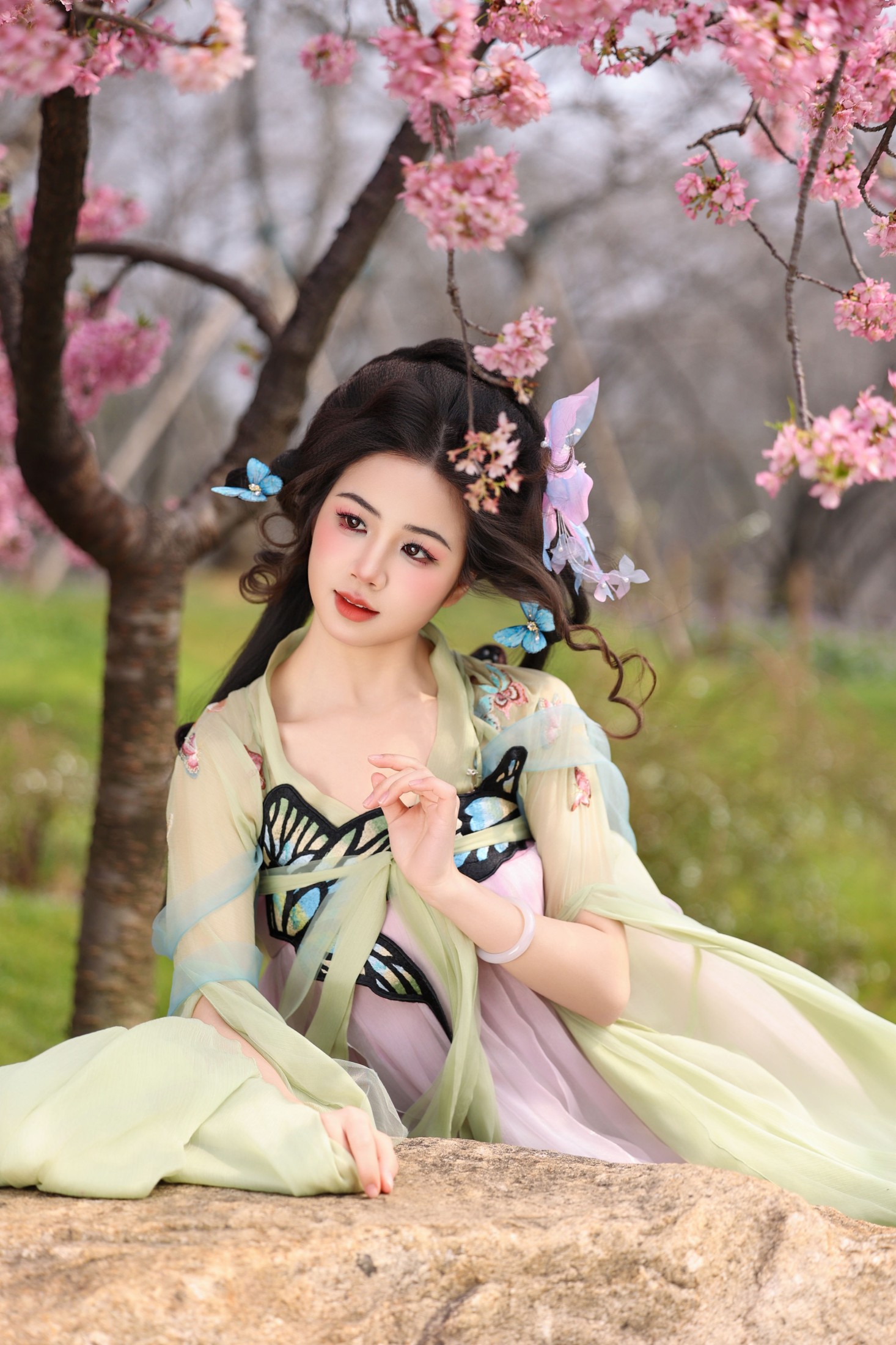 ID10618蝴蝶梦 - 妍画集-妍画集