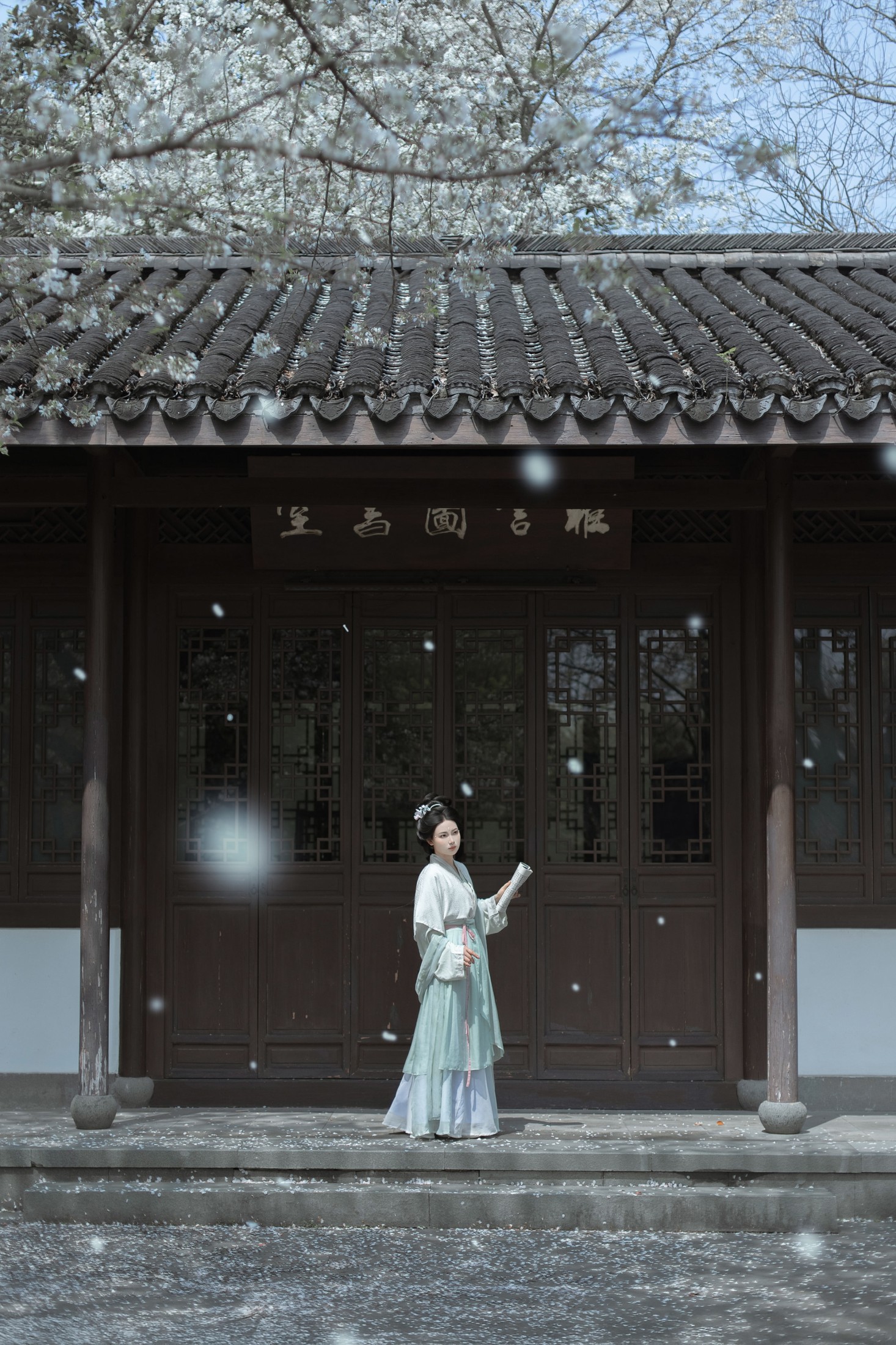 ID10608庭前雪 - 妍画集-妍画集