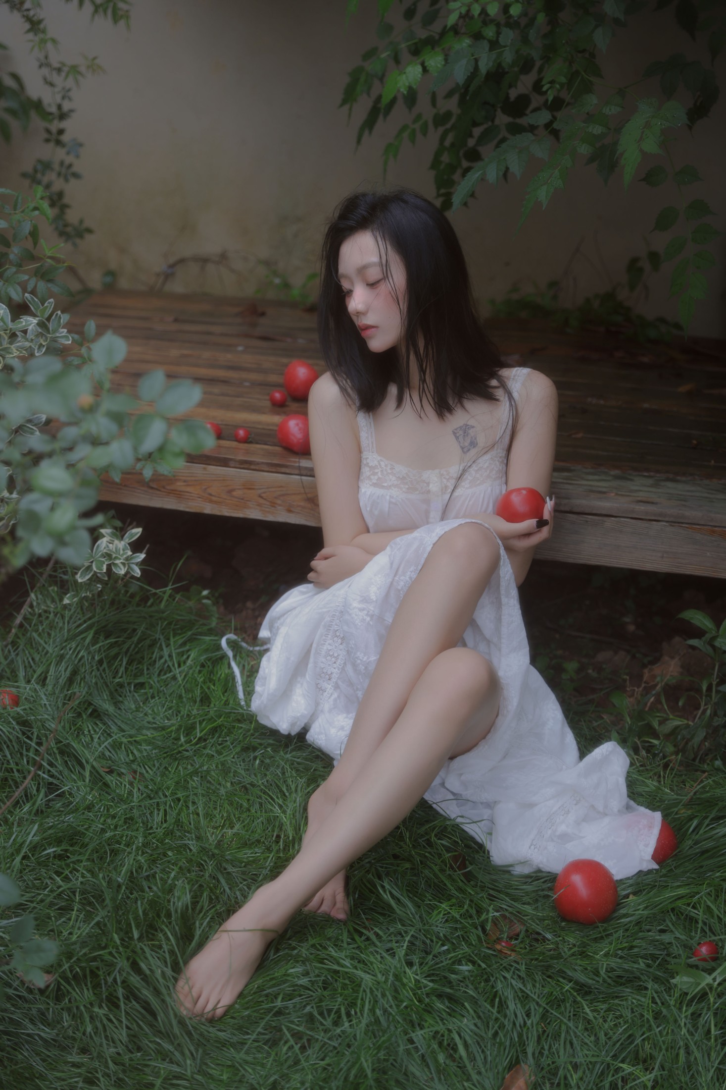 ID10693番茄红了 - 妍画集-妍画集