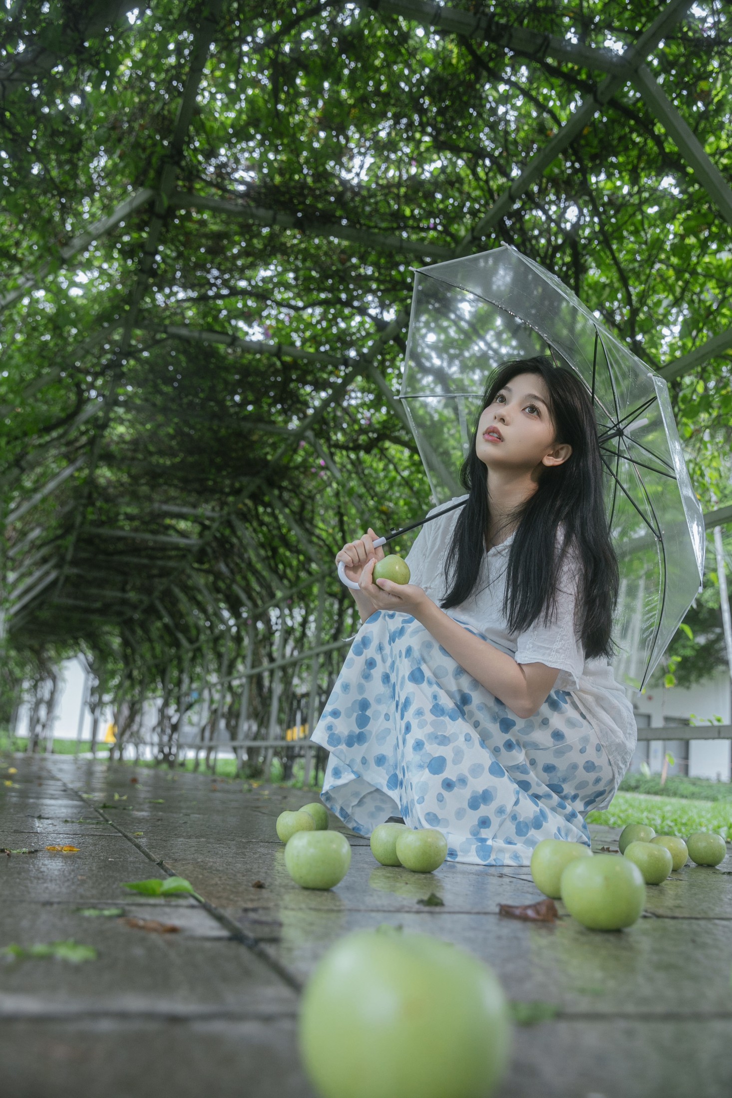 ID10761青苹果 - 妍画集-妍画集