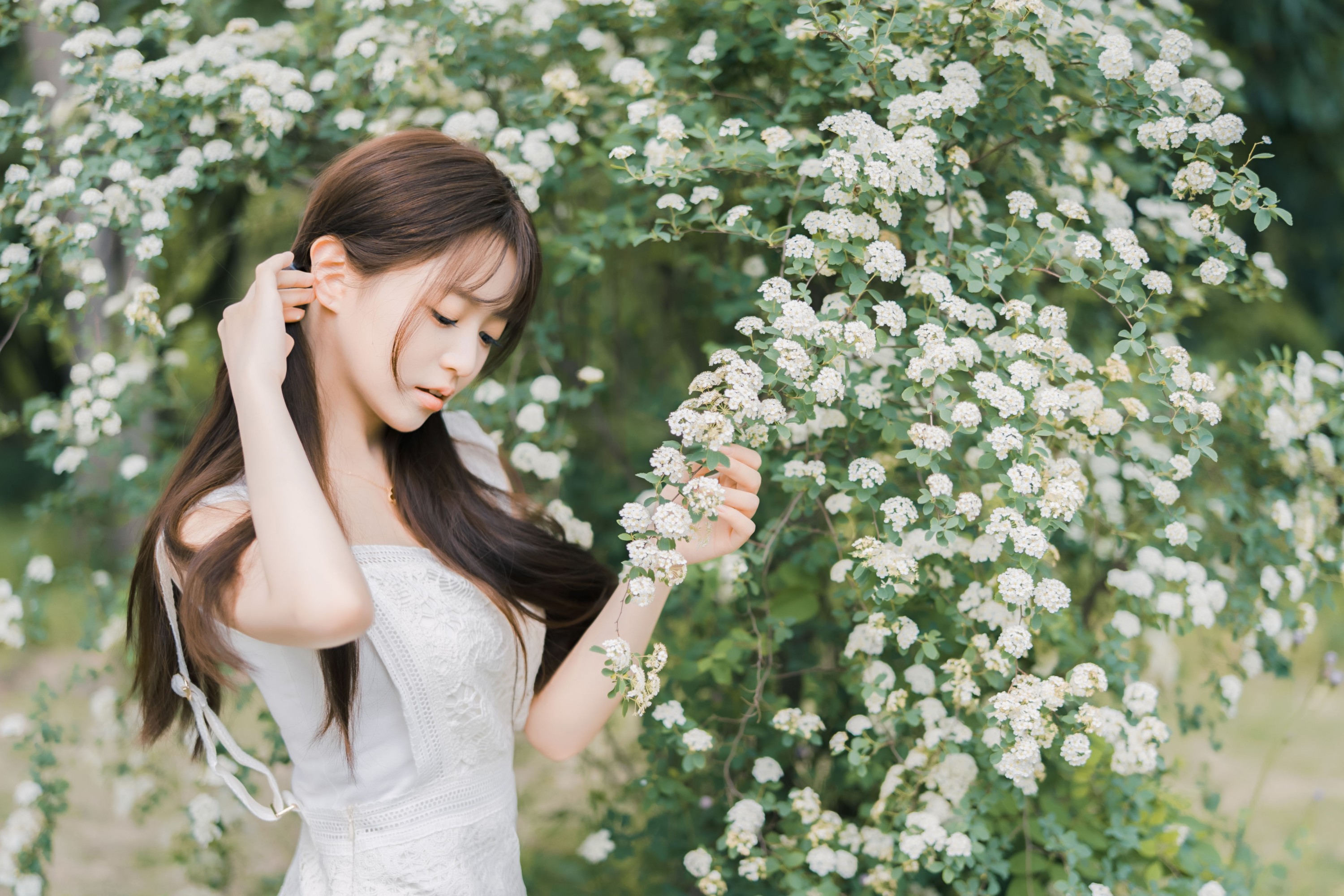 ID10789蔷薇小可爱 - 妍画集-妍画集