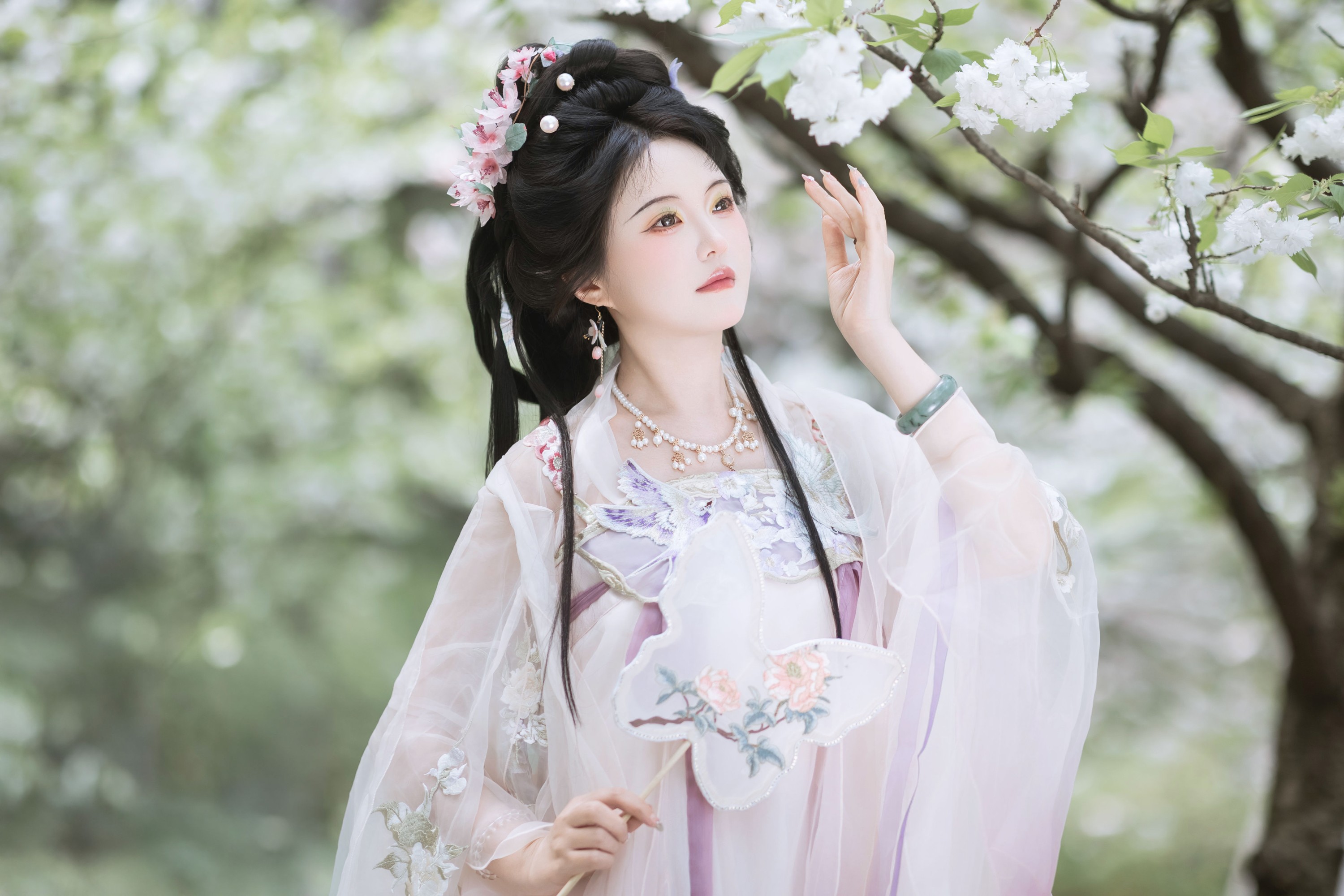 ID10611樱花似雪 - 妍画集-妍画集