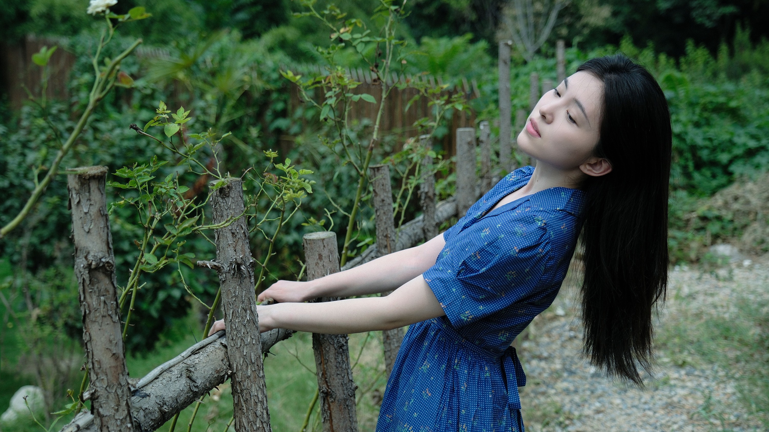 ID10824南法午后 - 妍画集-妍画集