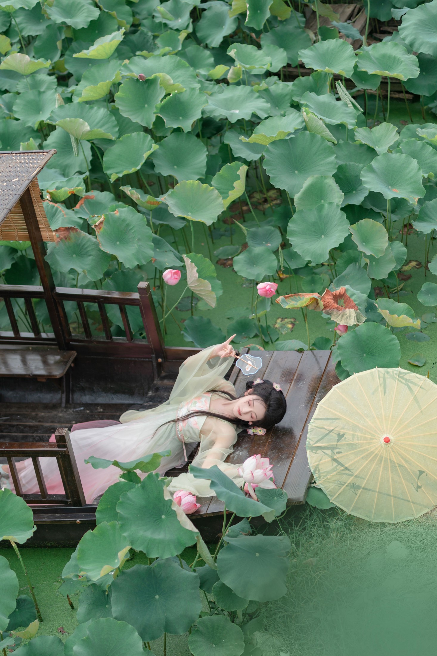 ID10828枯荷听雪 - 妍画集-妍画集