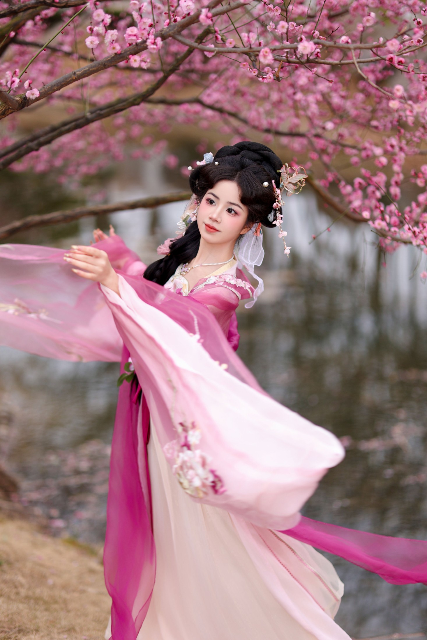 ID10623芍药 - 妍画集-妍画集