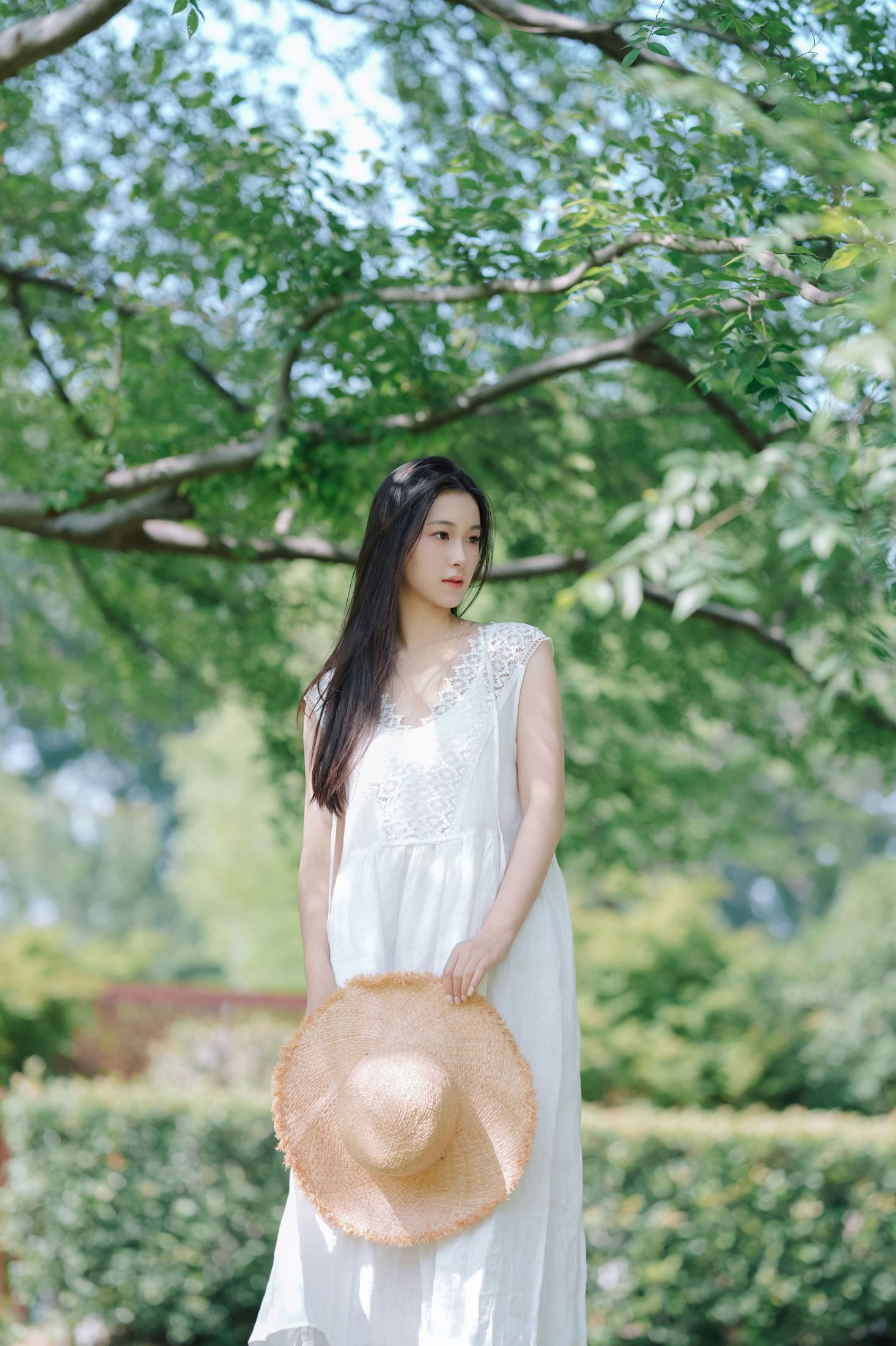 ID10847纯净夏日 - 妍画集-妍画集