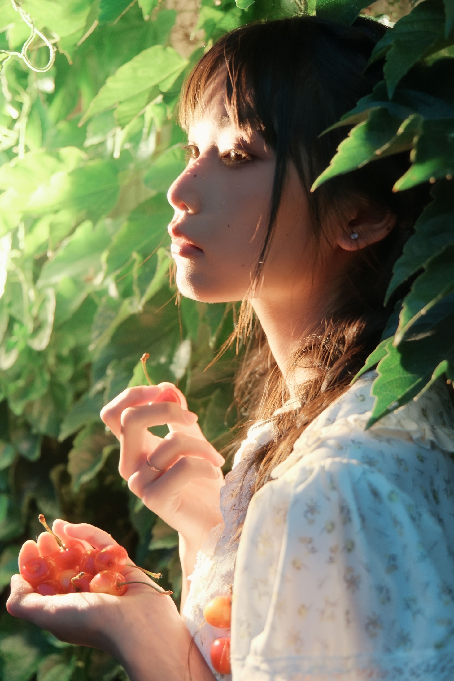 ID10852Poor Cherries - 妍画集-妍画集
