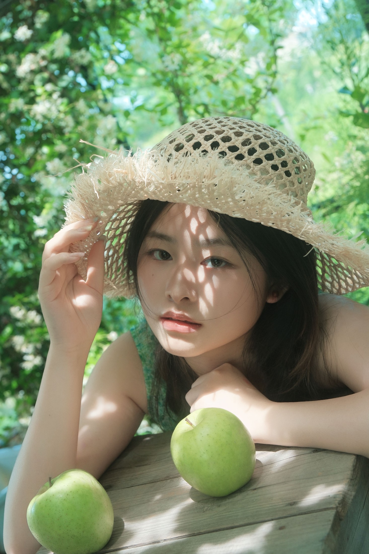 ID10853风车茉莉 - 妍画集-妍画集