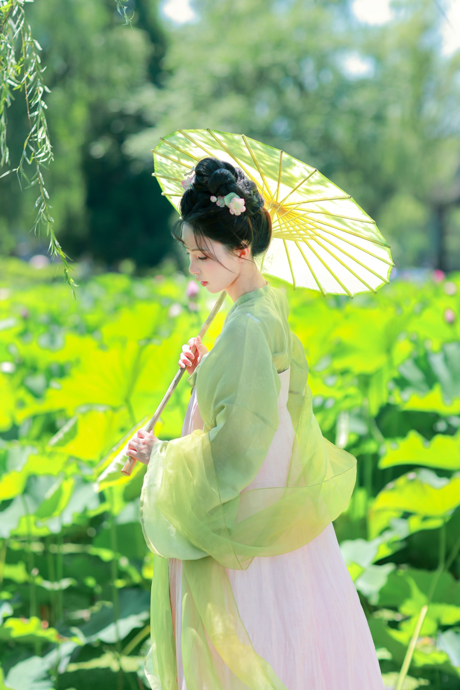 ID10927绿荫浓，夏日长 - 妍画集-妍画集