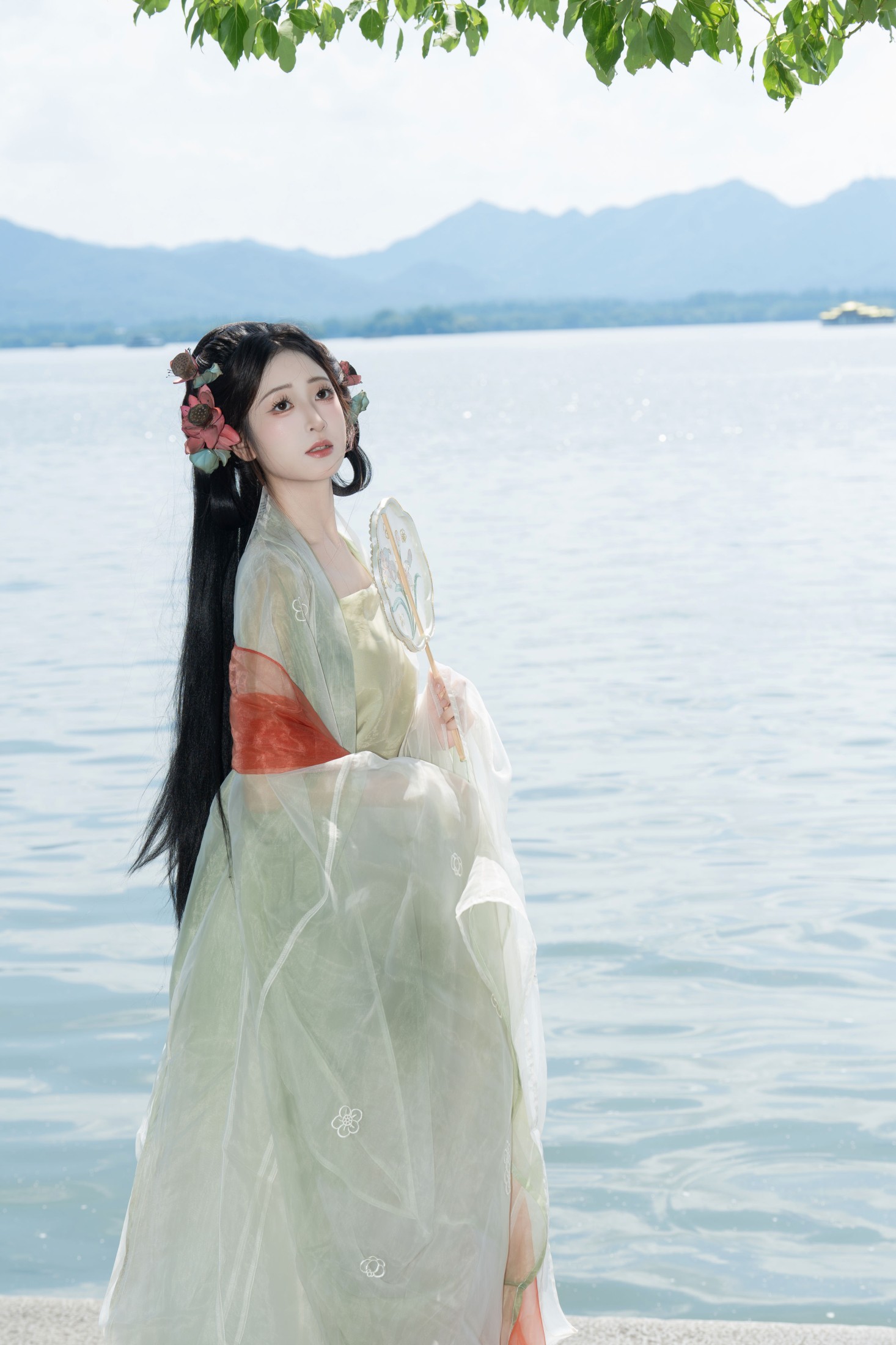 ID10932荷花如画 - 妍画集-妍画集