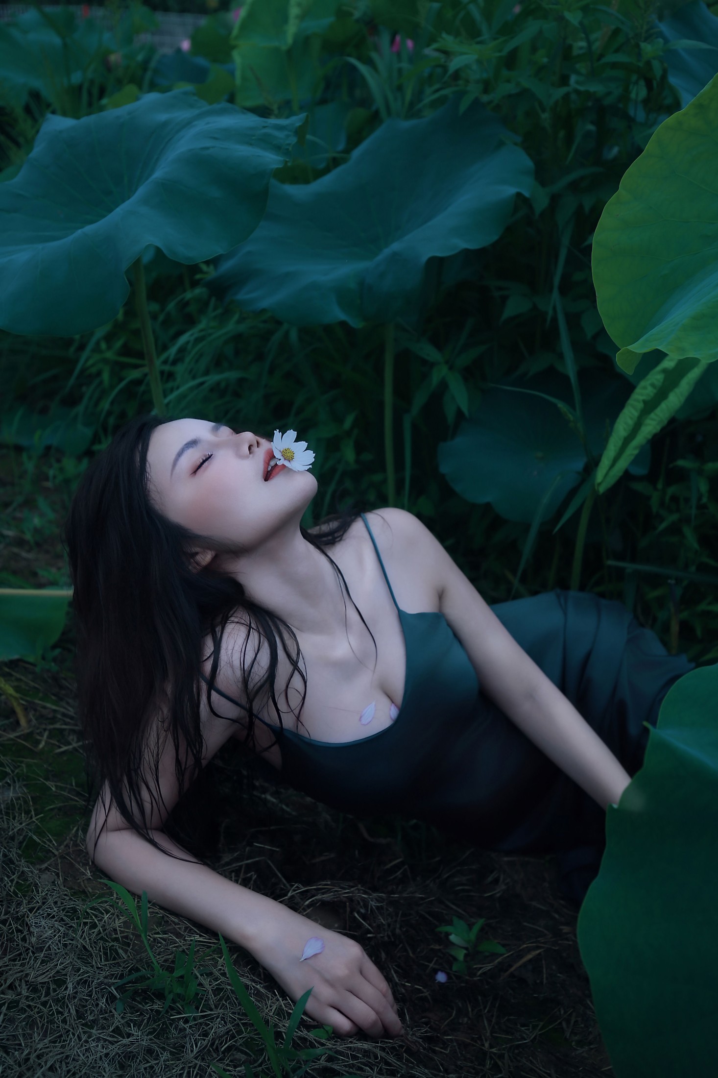 ID10934碧罗栽夏 - 妍画集-妍画集