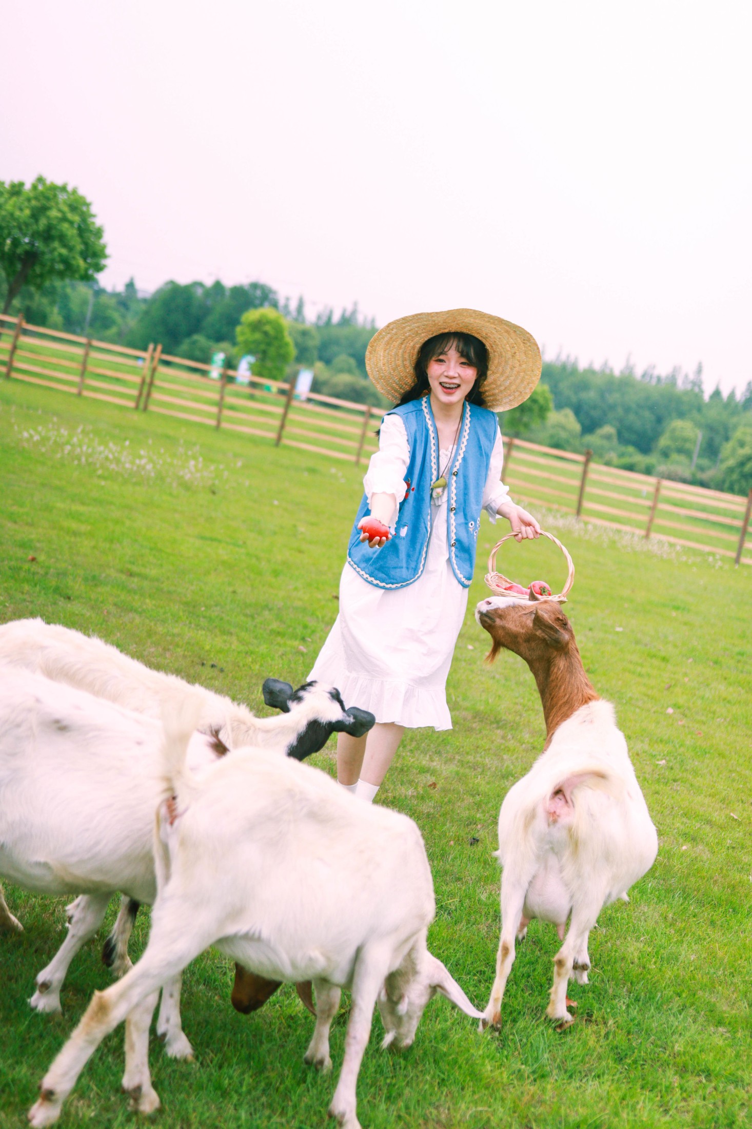 ID10950农场主的女儿 - 妍画集-妍画集