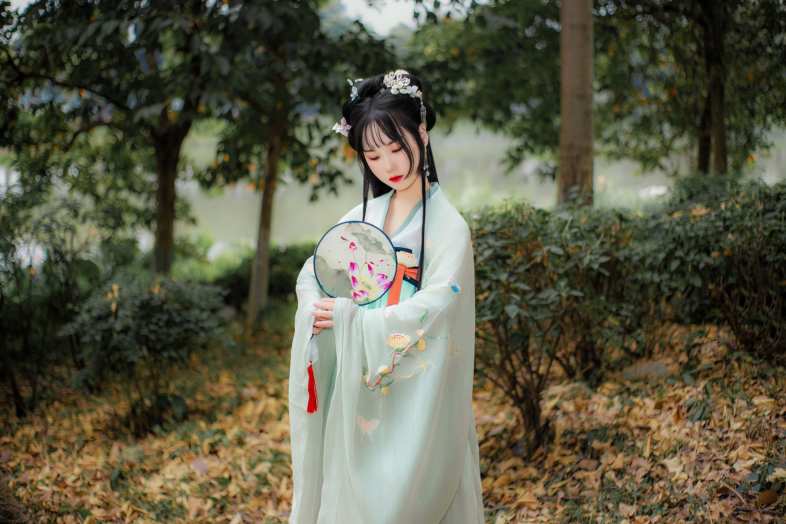 ID10717晓青衫 - 妍画集-妍画集
