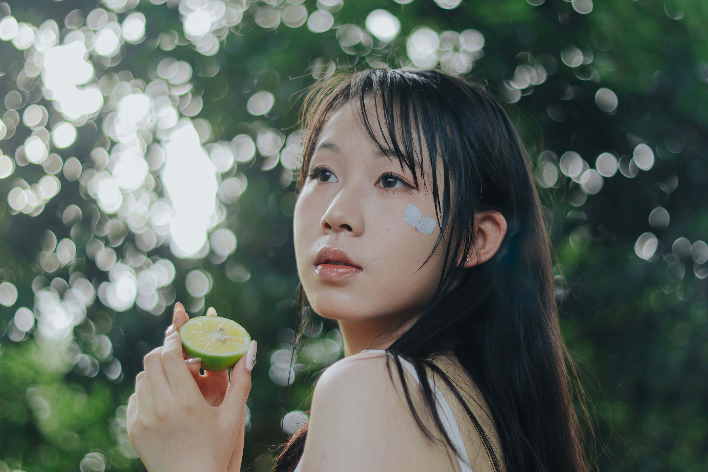 ID10951雨中绣球 - 妍画集-妍画集