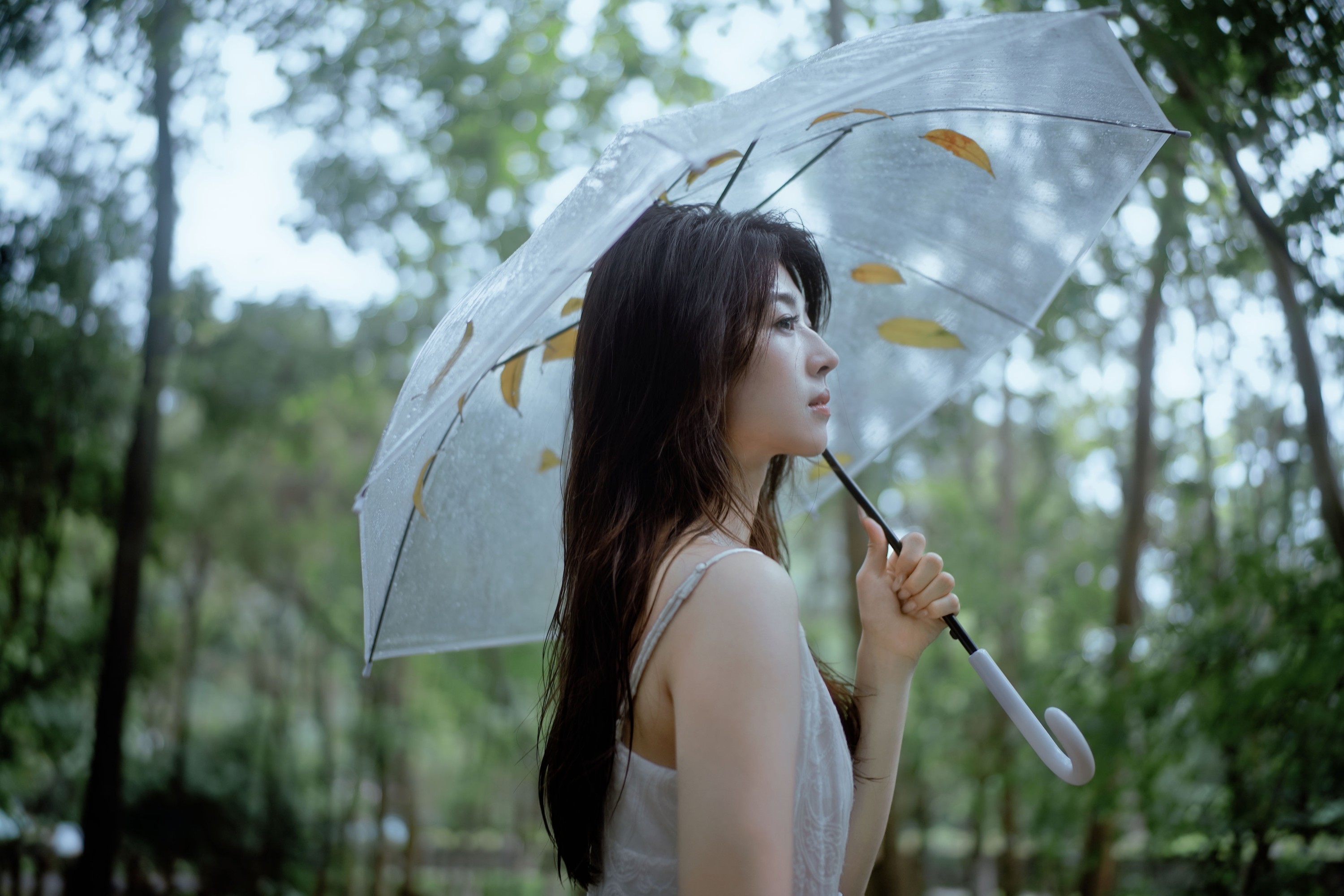 ID10962雨落林间，邂逅白裙仙子 - 妍画集-妍画集