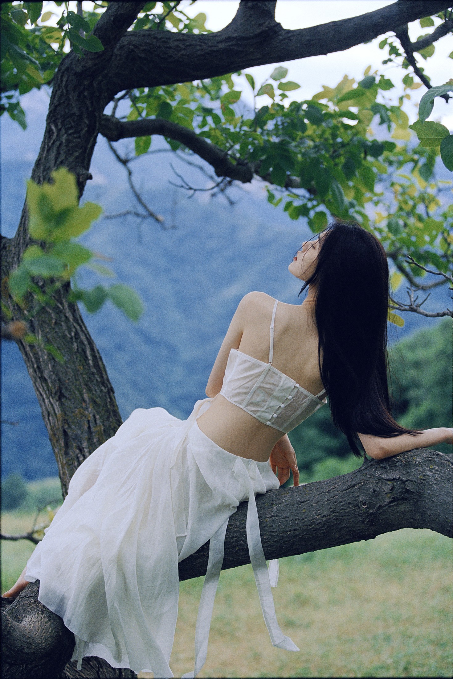ID10993降临于山 - 妍画集-妍画集