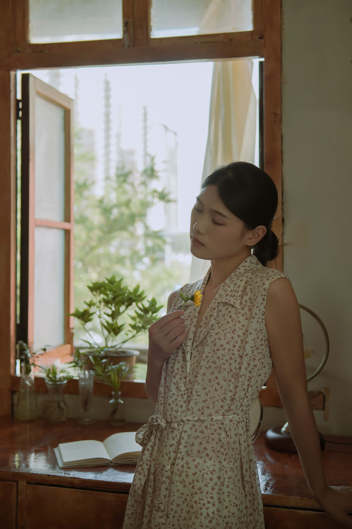 ID11049窗边的向日葵开了又落 - 妍画集-妍画集