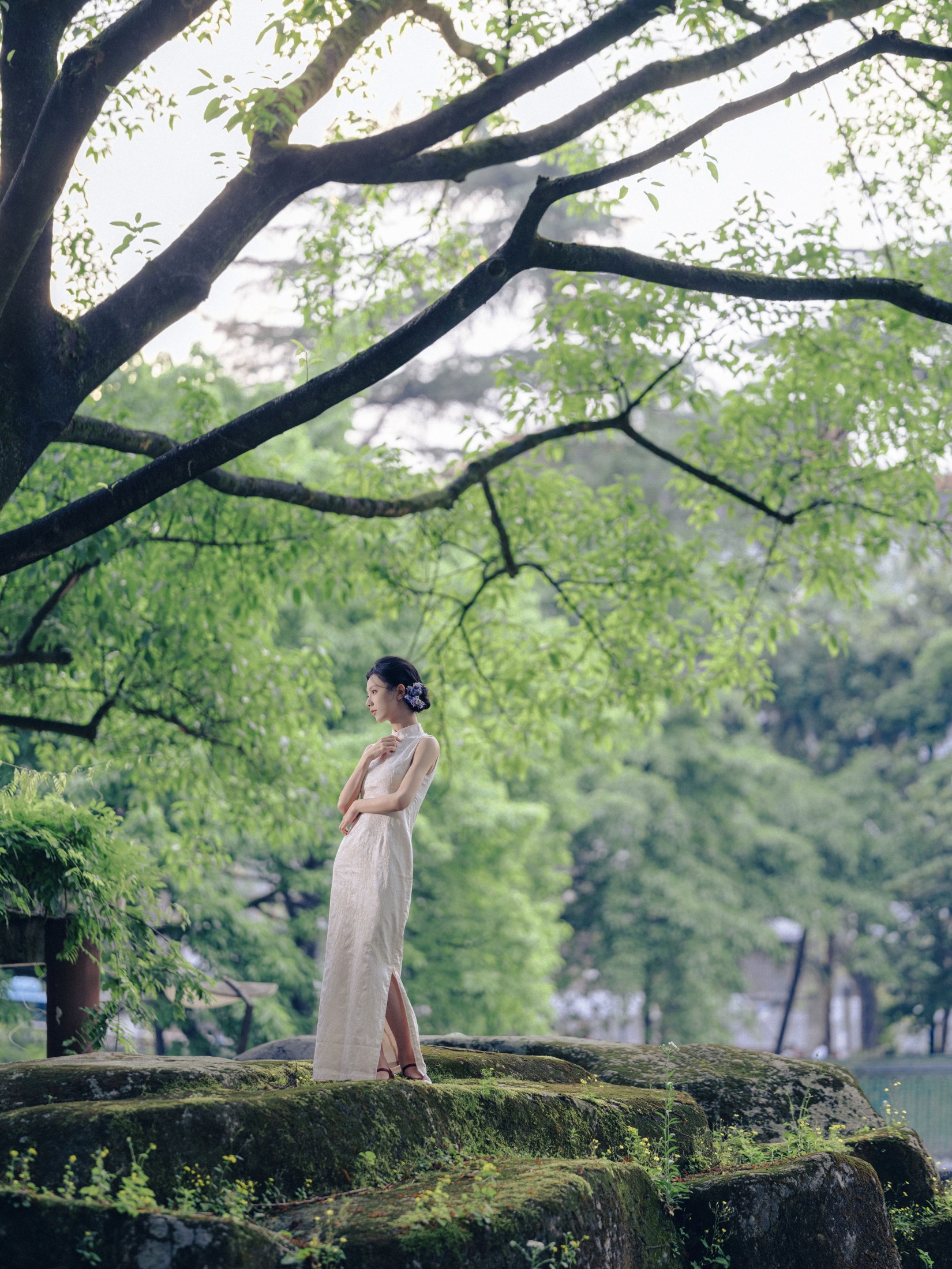 ID10986白兰 - 妍画集-妍画集