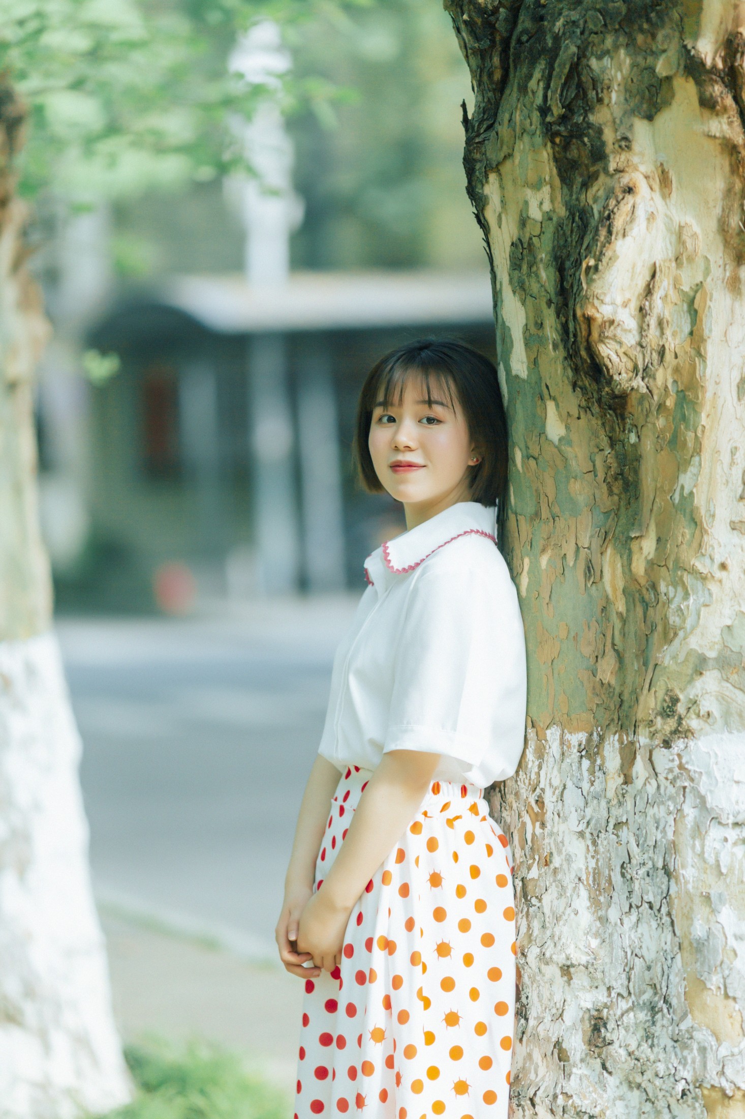 鑫鑫 – 《邻家女孩》[34P] 插图5