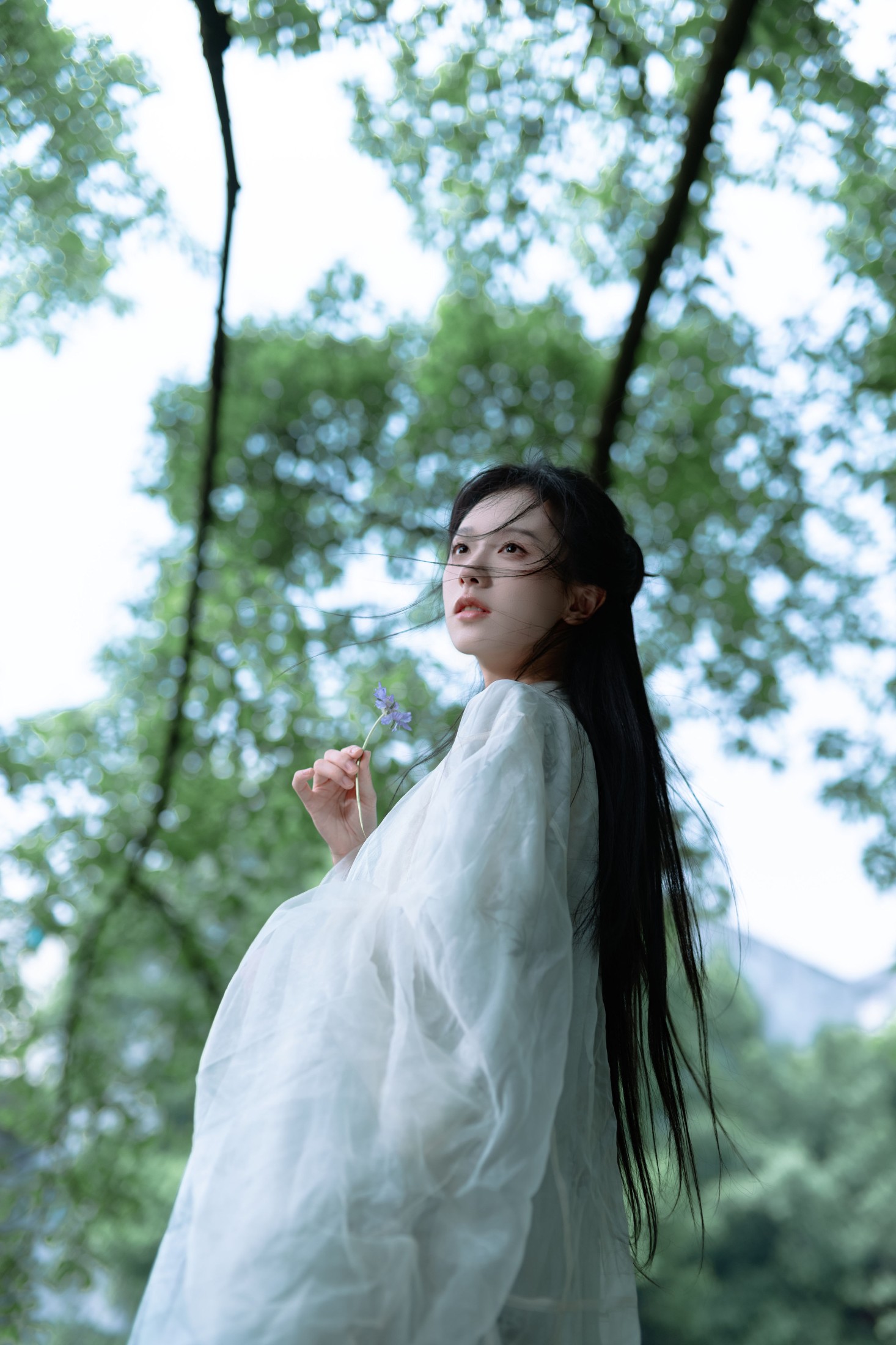ID10987吟游诗人 - 妍画集-妍画集
