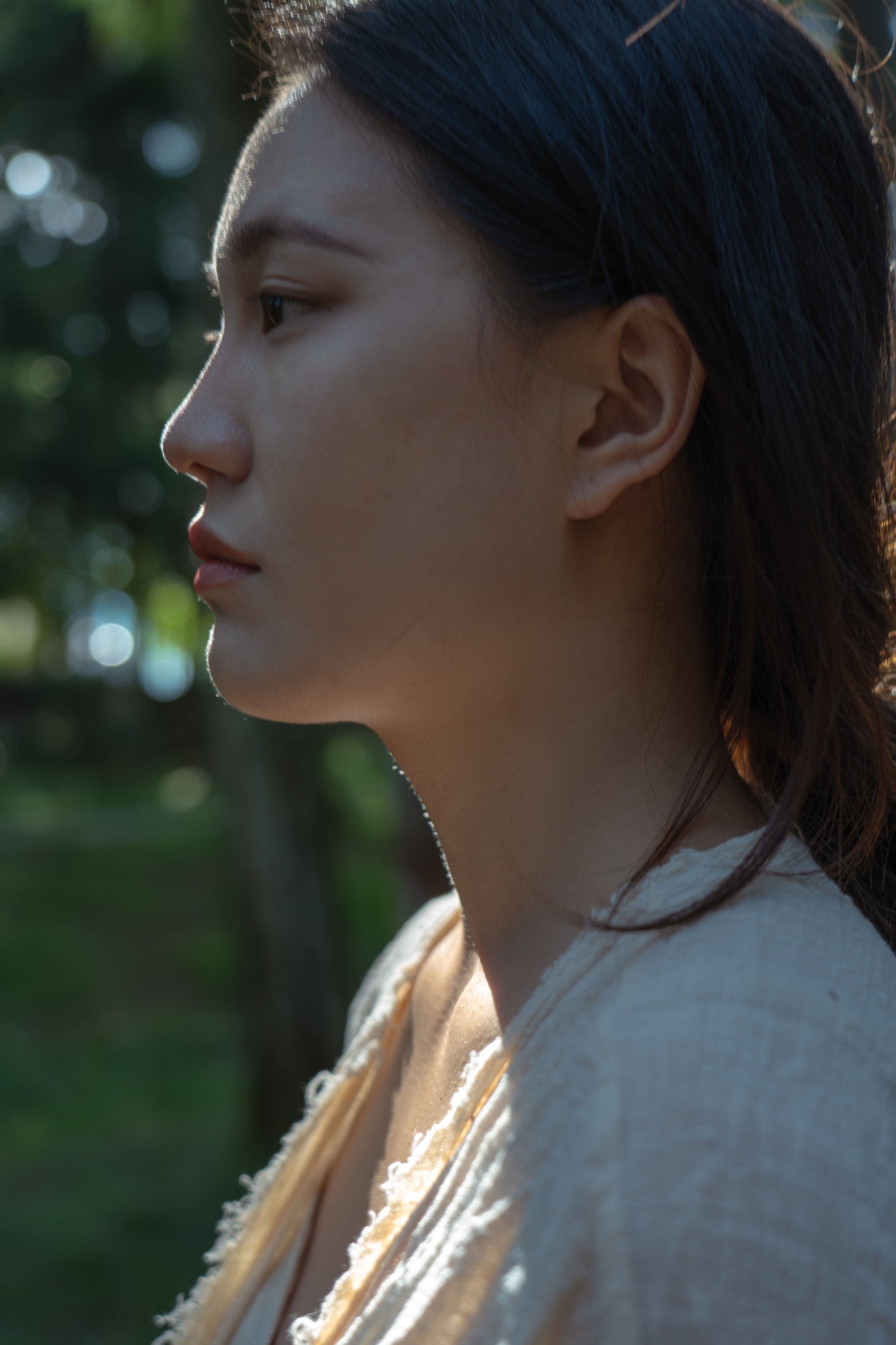 ID11098影落林隙 - 妍画集-妍画集