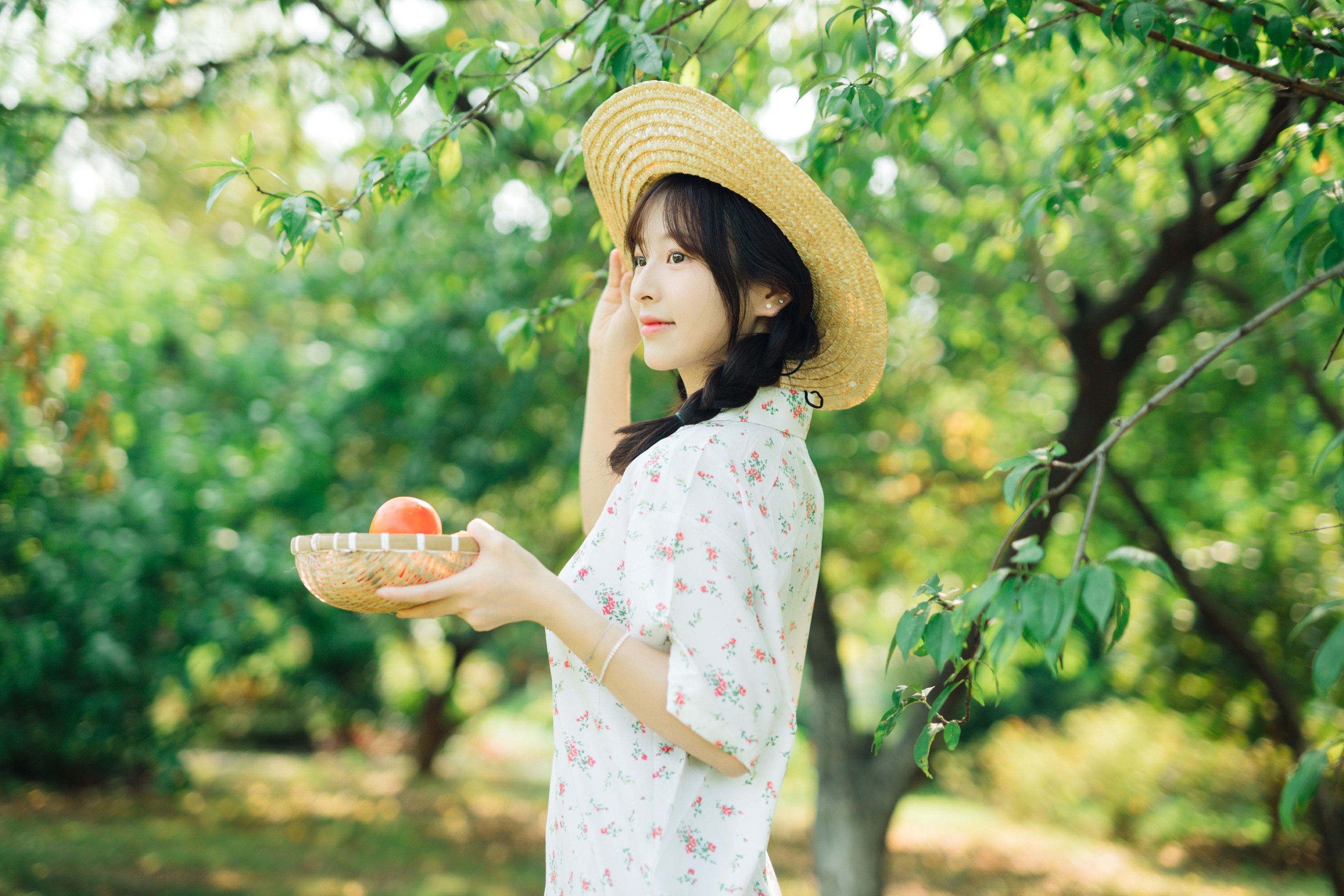 ID11140明媚的夏天 - 妍画集-妍画集