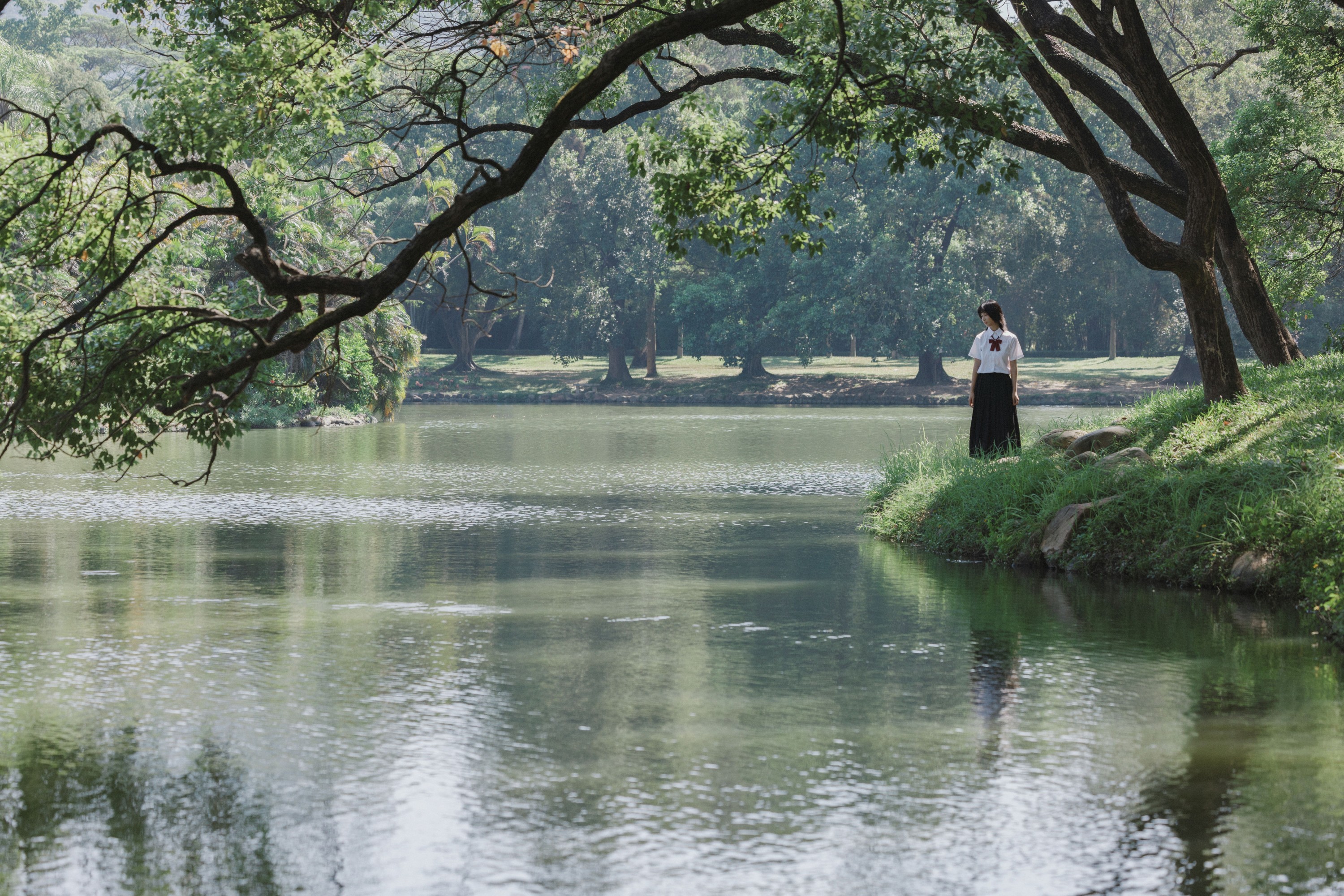 ID11087光之舞 - 妍画集-妍画集