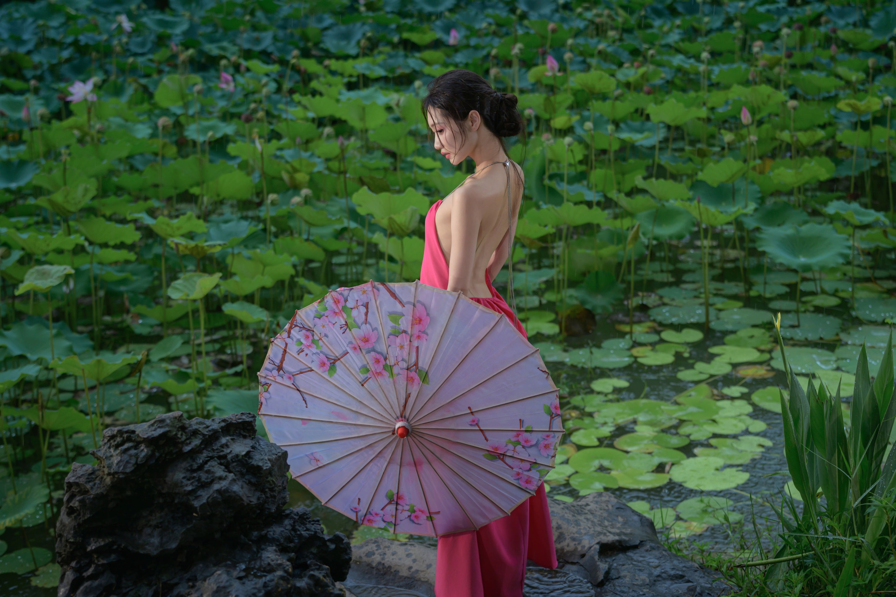 ID11132雨荷 - 妍画集-妍画集