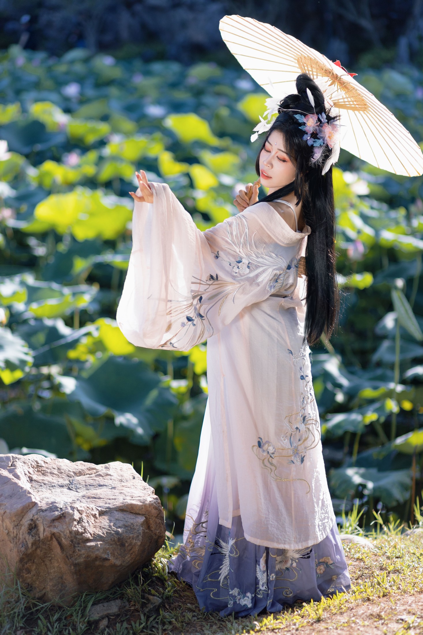 ID11167好运莲莲 - 妍画集-妍画集