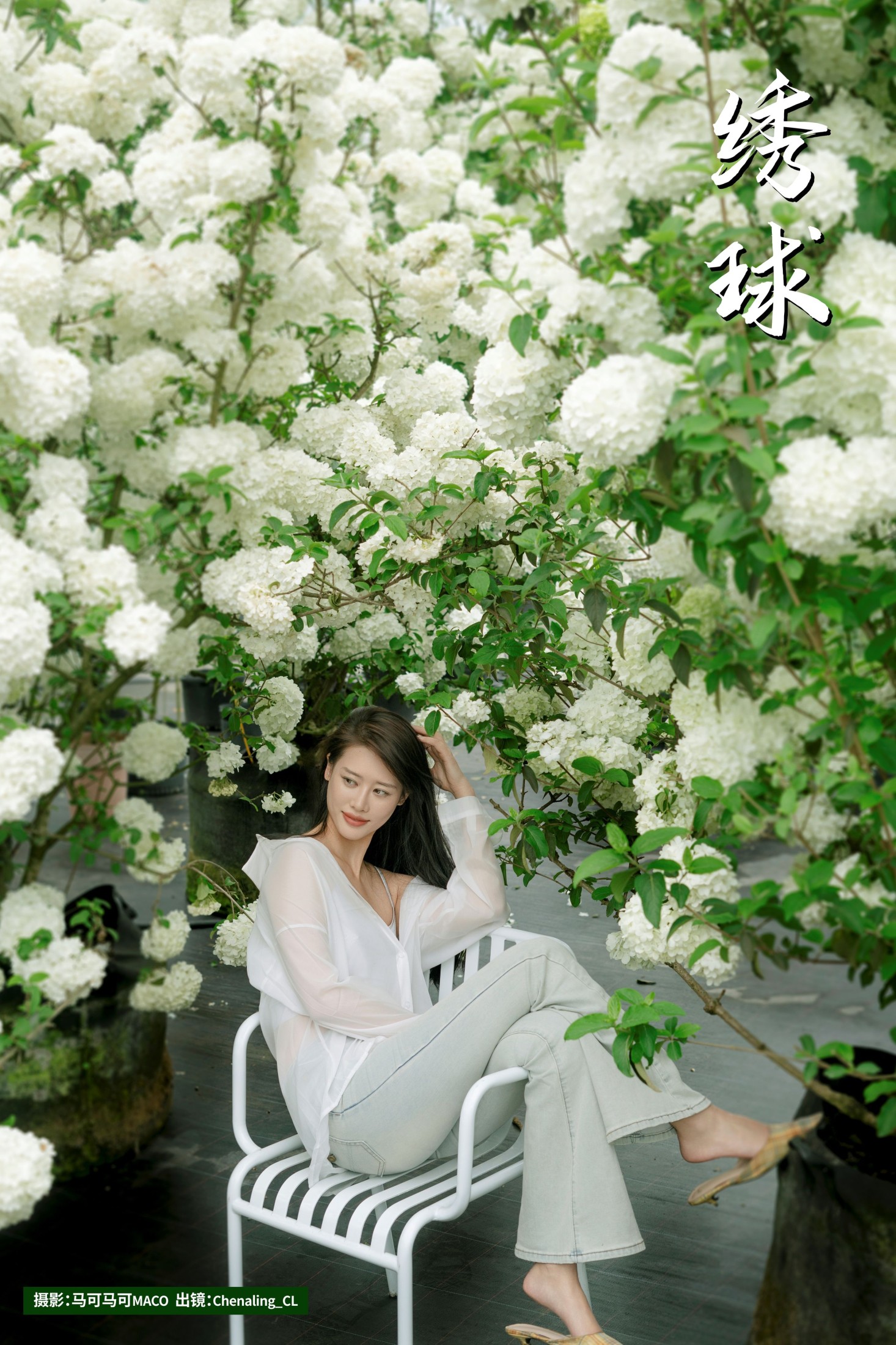 ID11063绣球 - 妍画集-妍画集