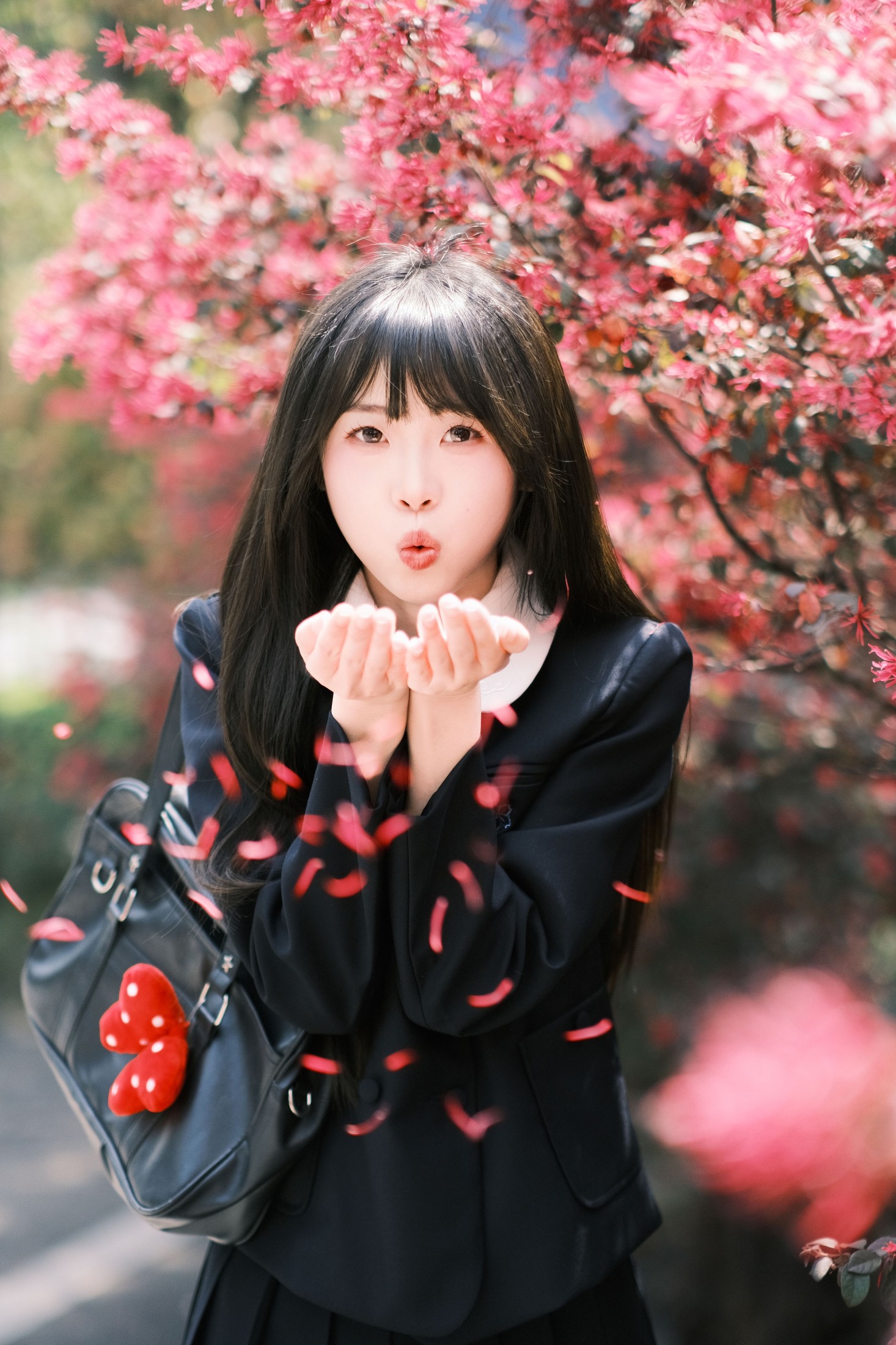 10 – 《想不到吧路边绿化的红继木拍出来这么好看》[18P] 插图3