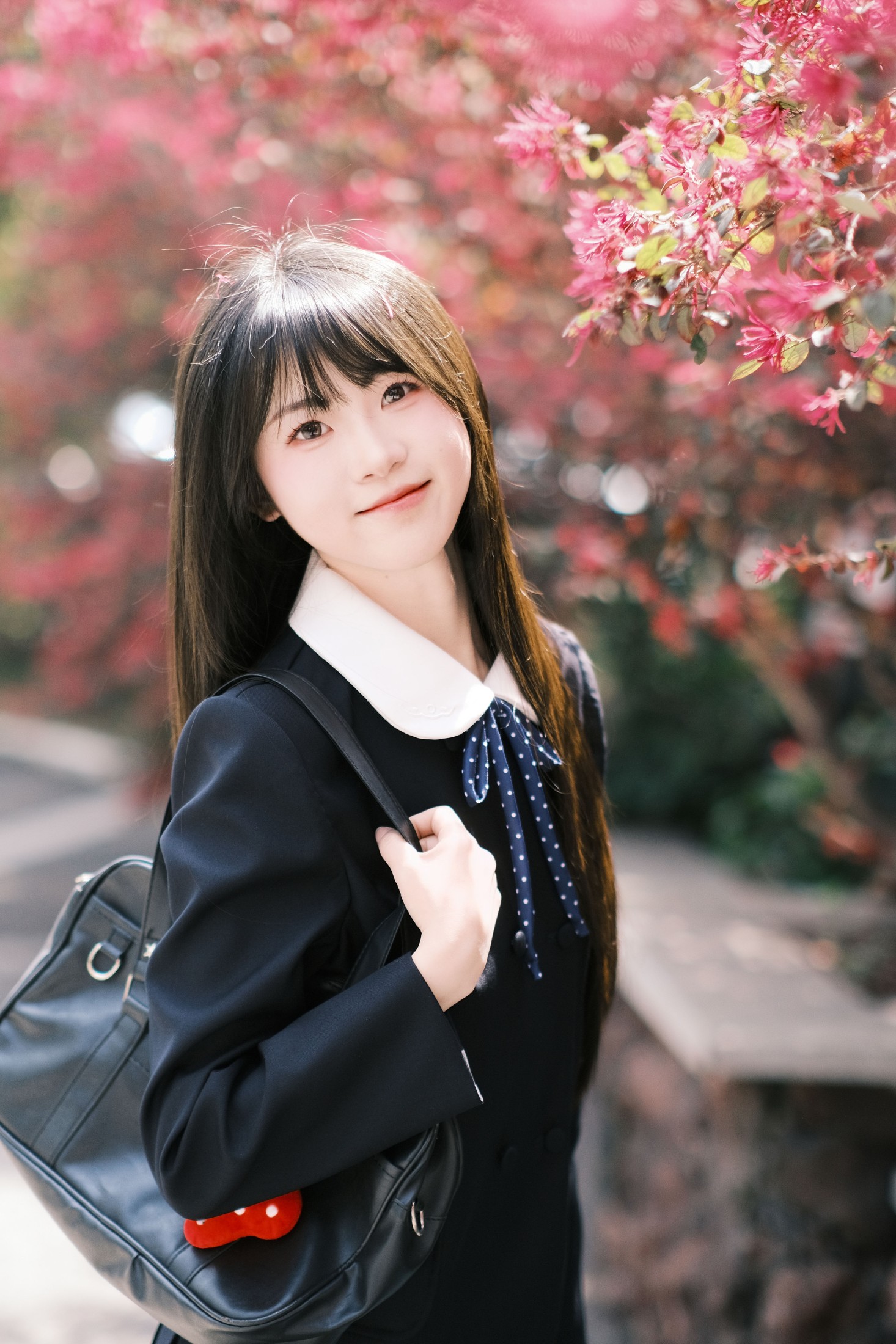 ID11109想不到吧路边绿化的红继木拍出来这么好看 - 妍画集-妍画集