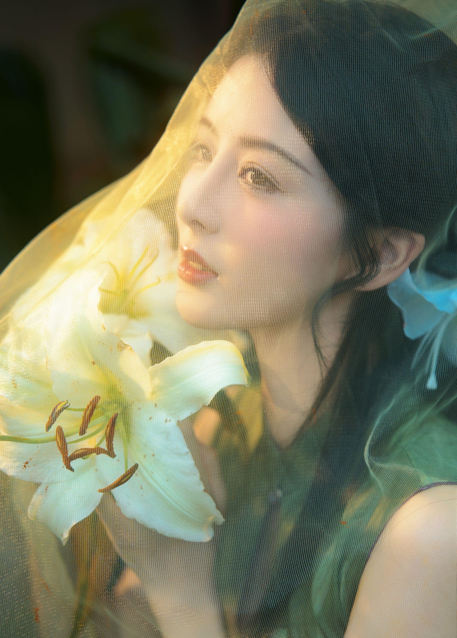 言欢 – 《不与花同梦》[13P] 插图2