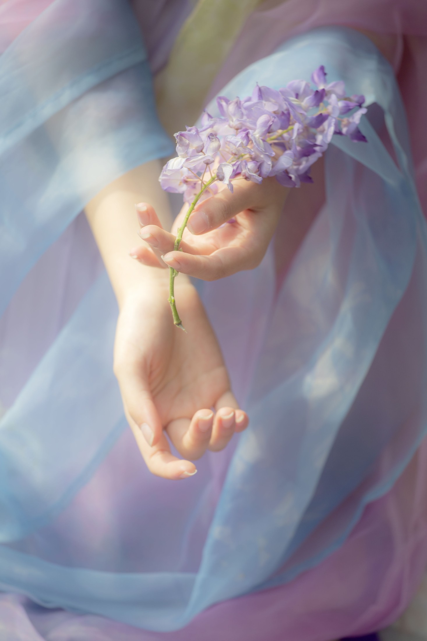 池白浔 – 《紫藤花》[22P] 插图4