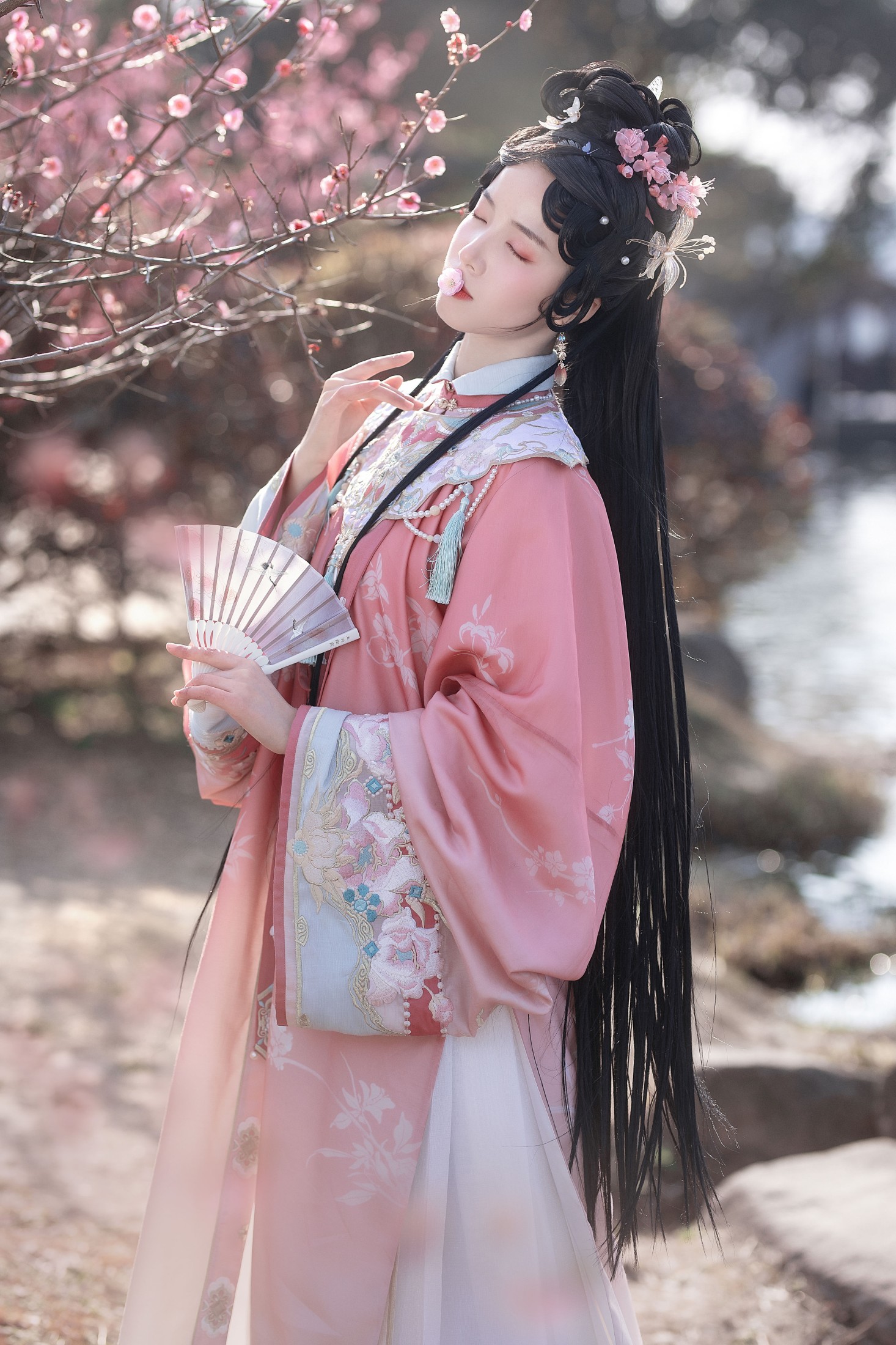 一只阿梦崽 – 《试问春留几日?》[14P] 插图4