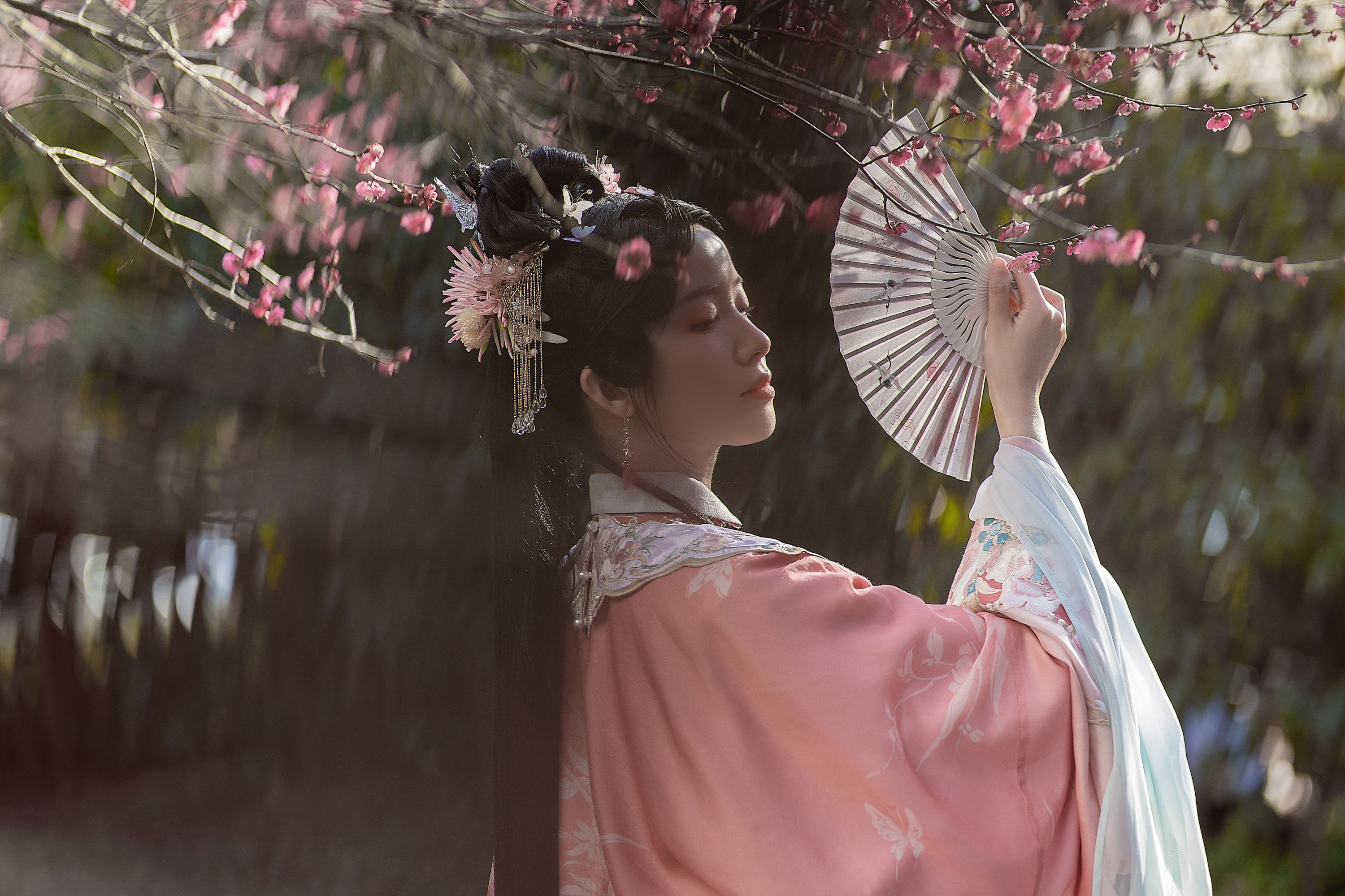 一只阿梦崽 – 《试问春留几日?》[14P] 插图5
