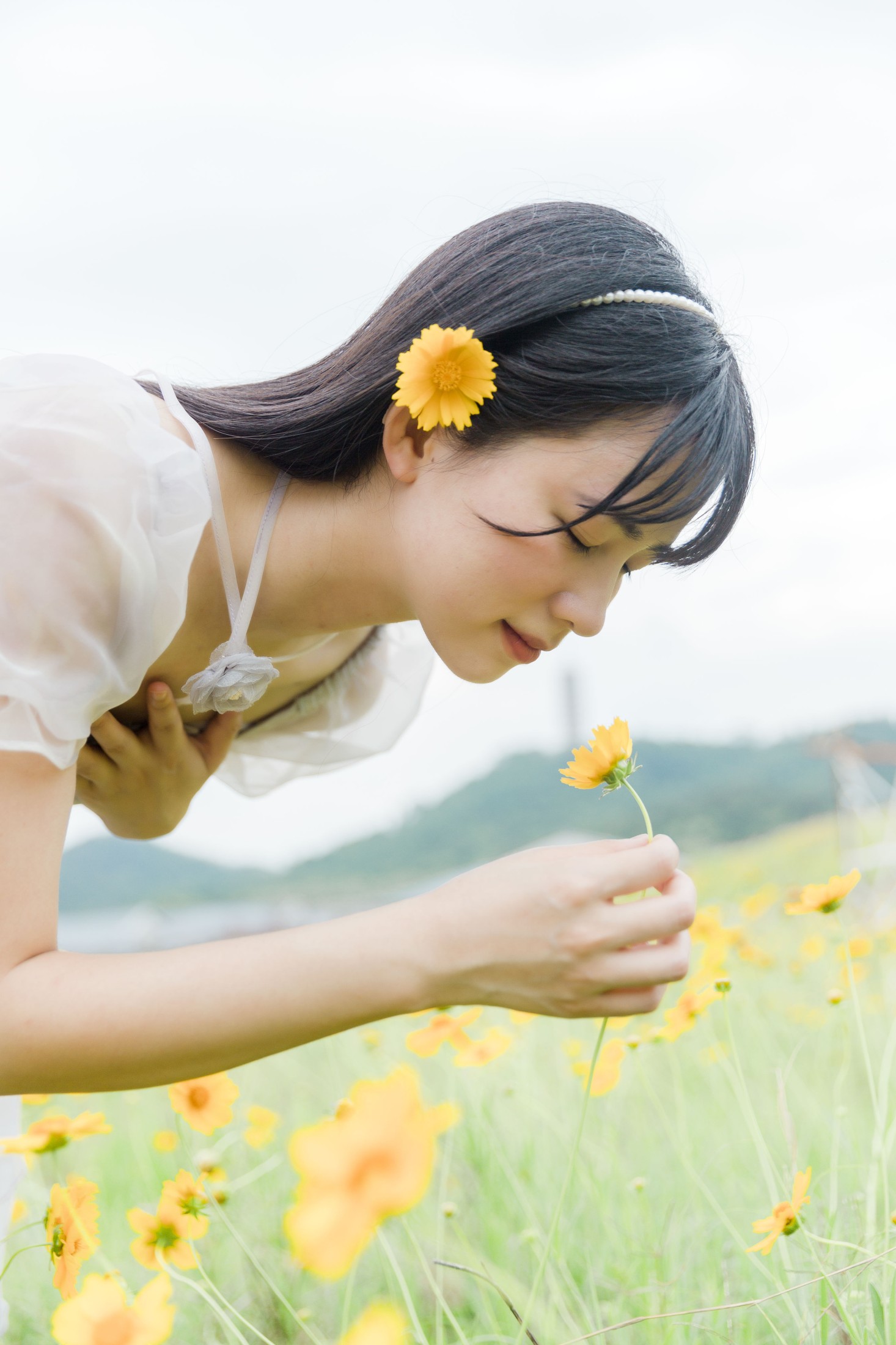 ID10923夏天的小黄花 - 妍画集-妍画集