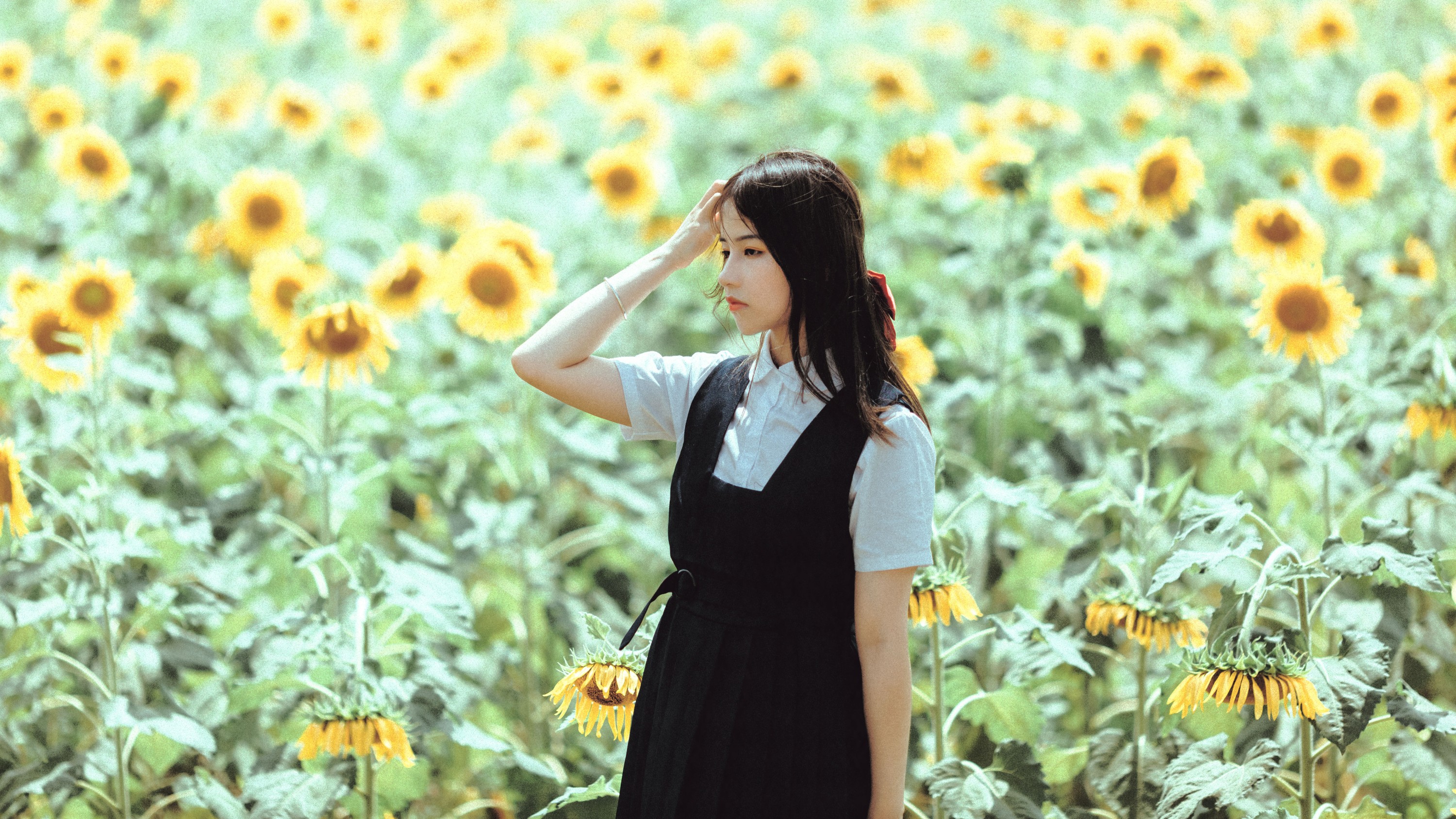薇薇 – 《夏天的太阳花》[17P] - 妍画集-妍画集